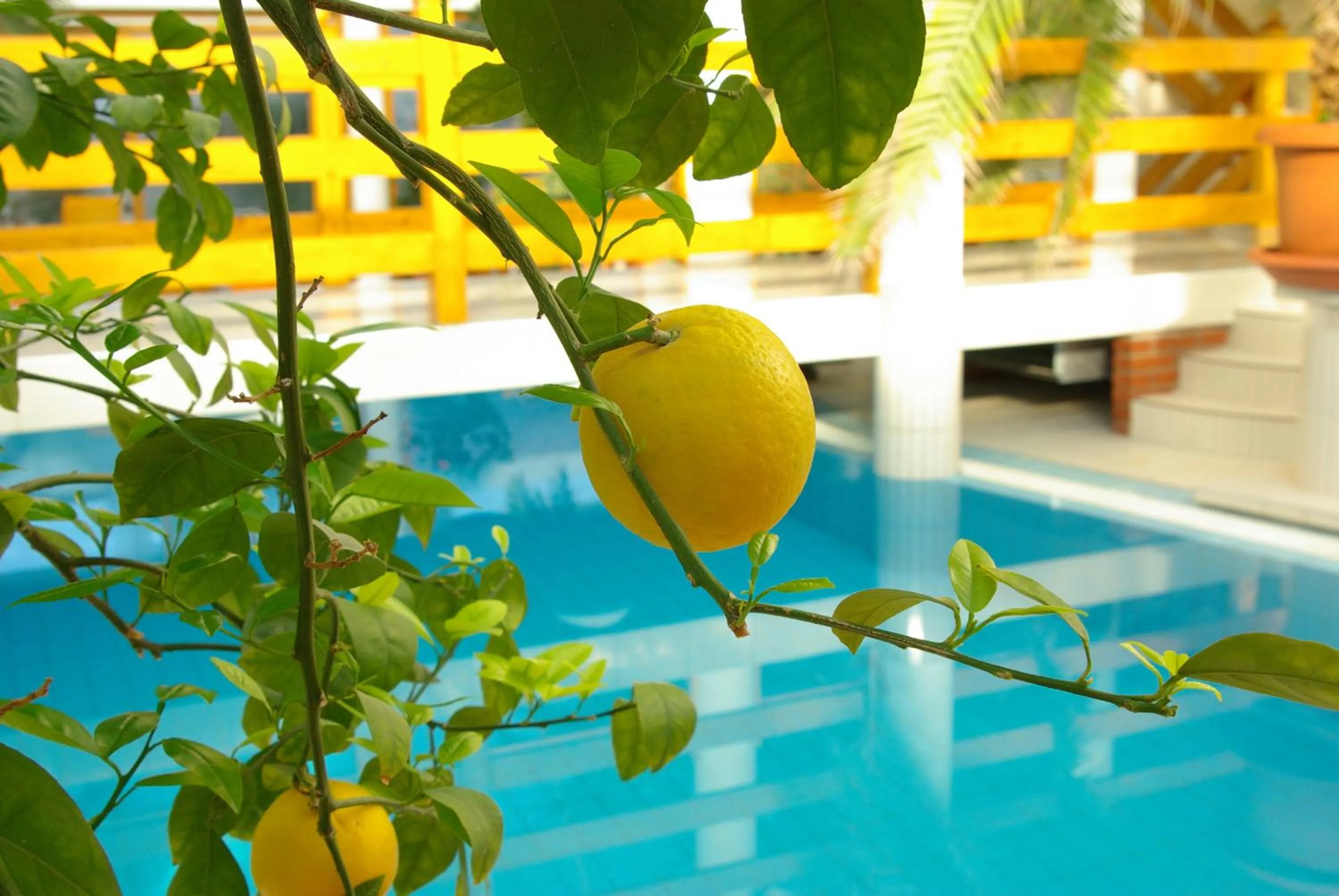 Swimming pool in Wellness Hotel Kakadu