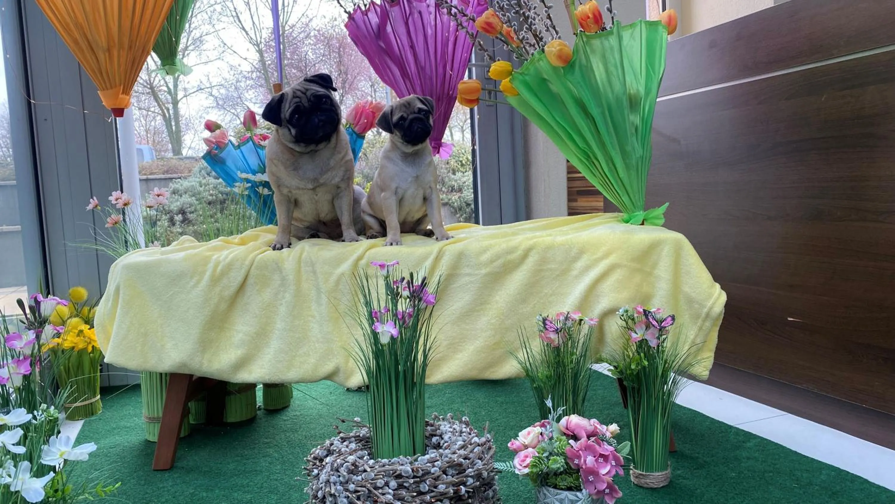 People in CE Plaza Hotel