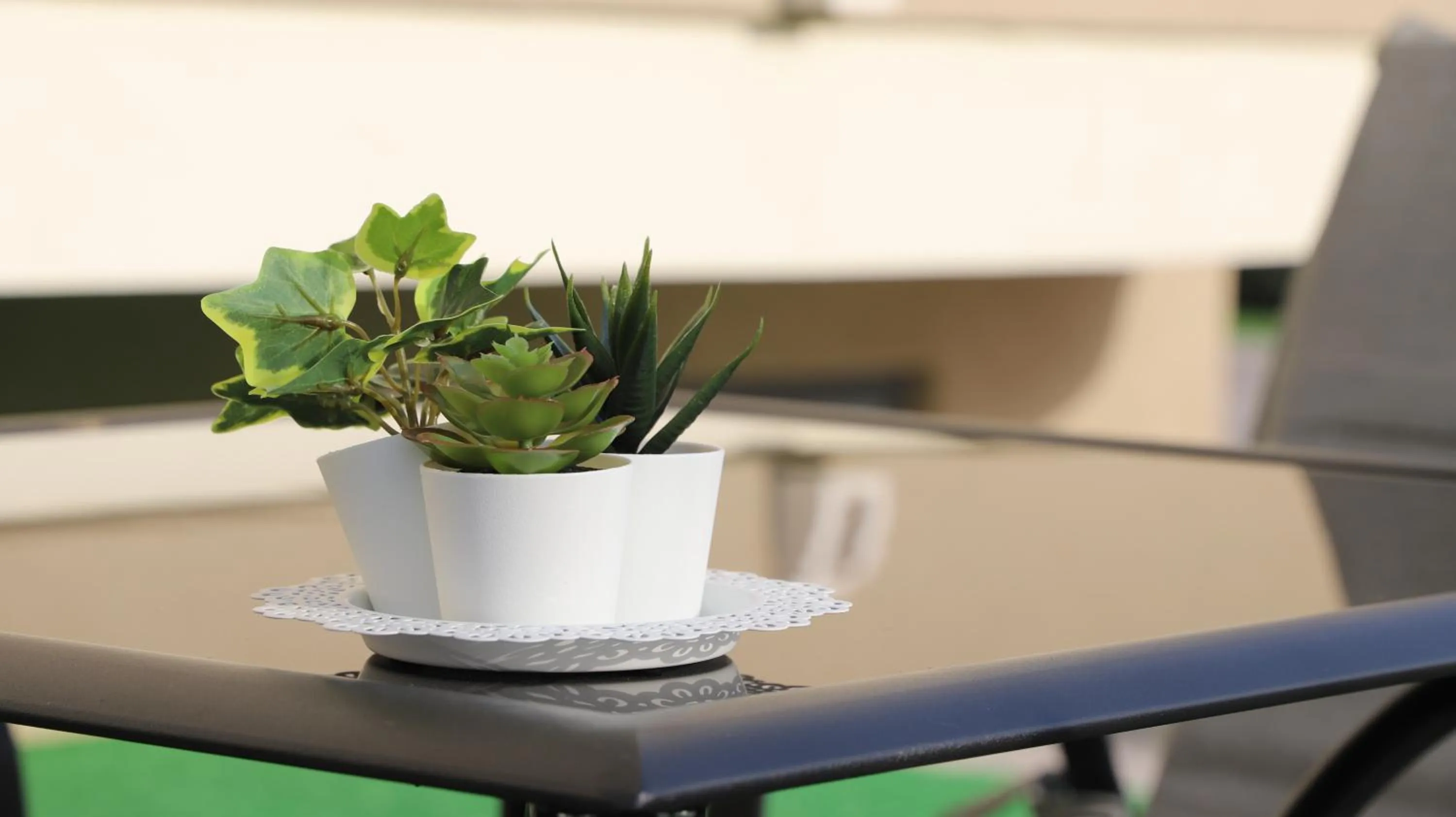 Garden in Avola My House B&B