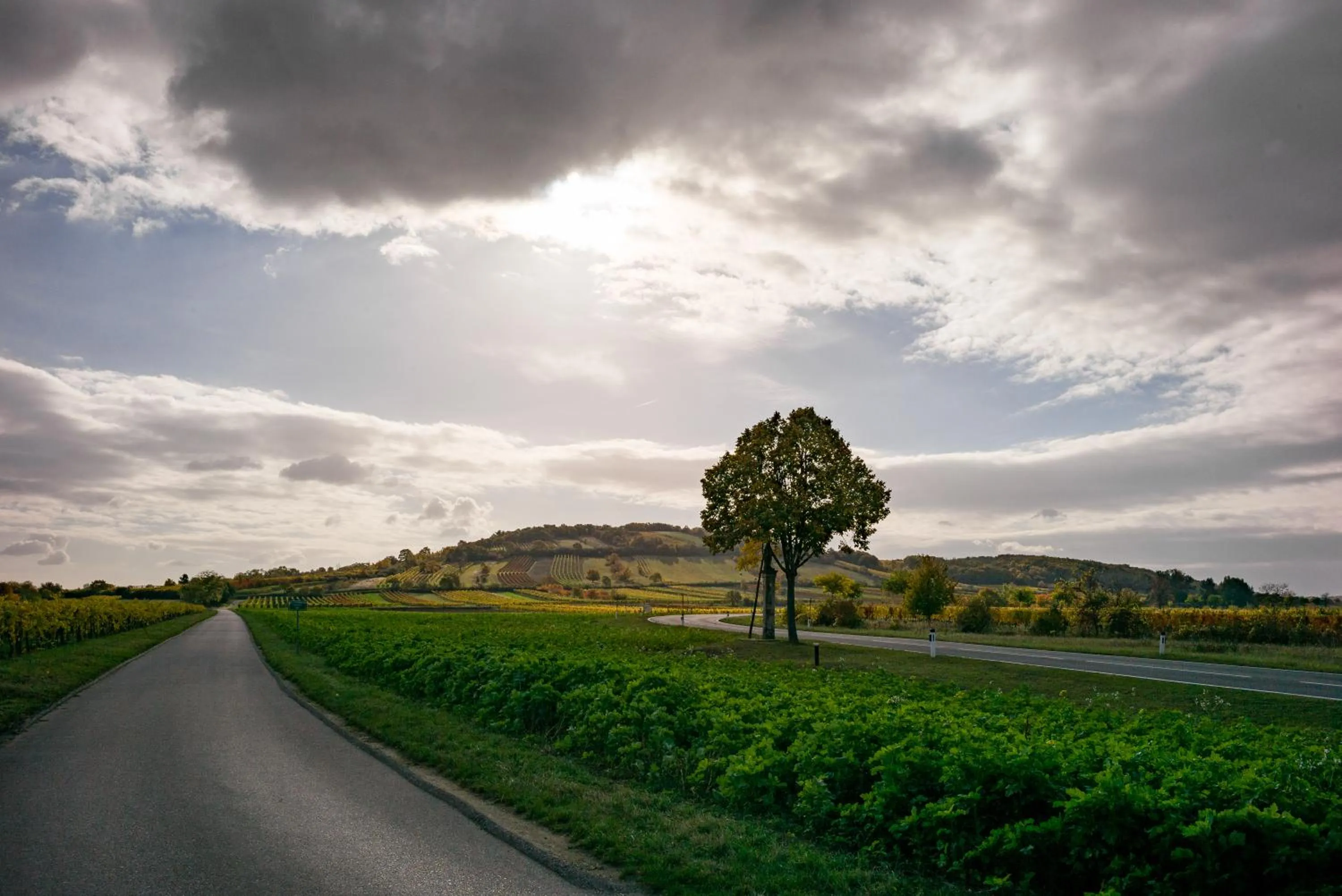 Natural landscape in Tschardakenhof Appartements