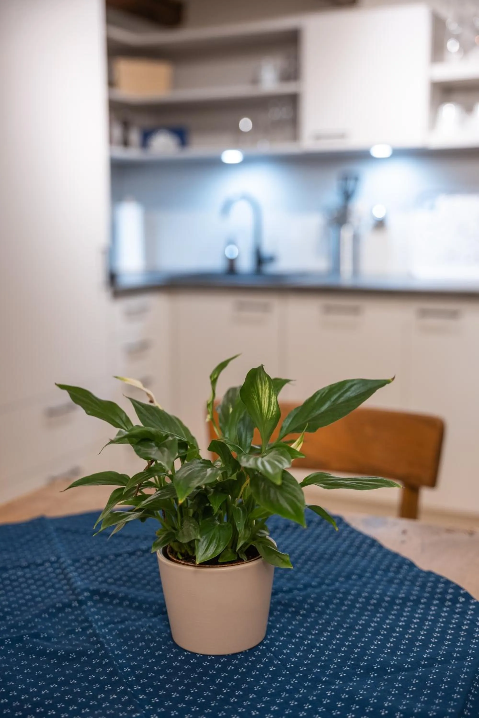 Kitchen or kitchenette in Tschardakenhof Appartements
