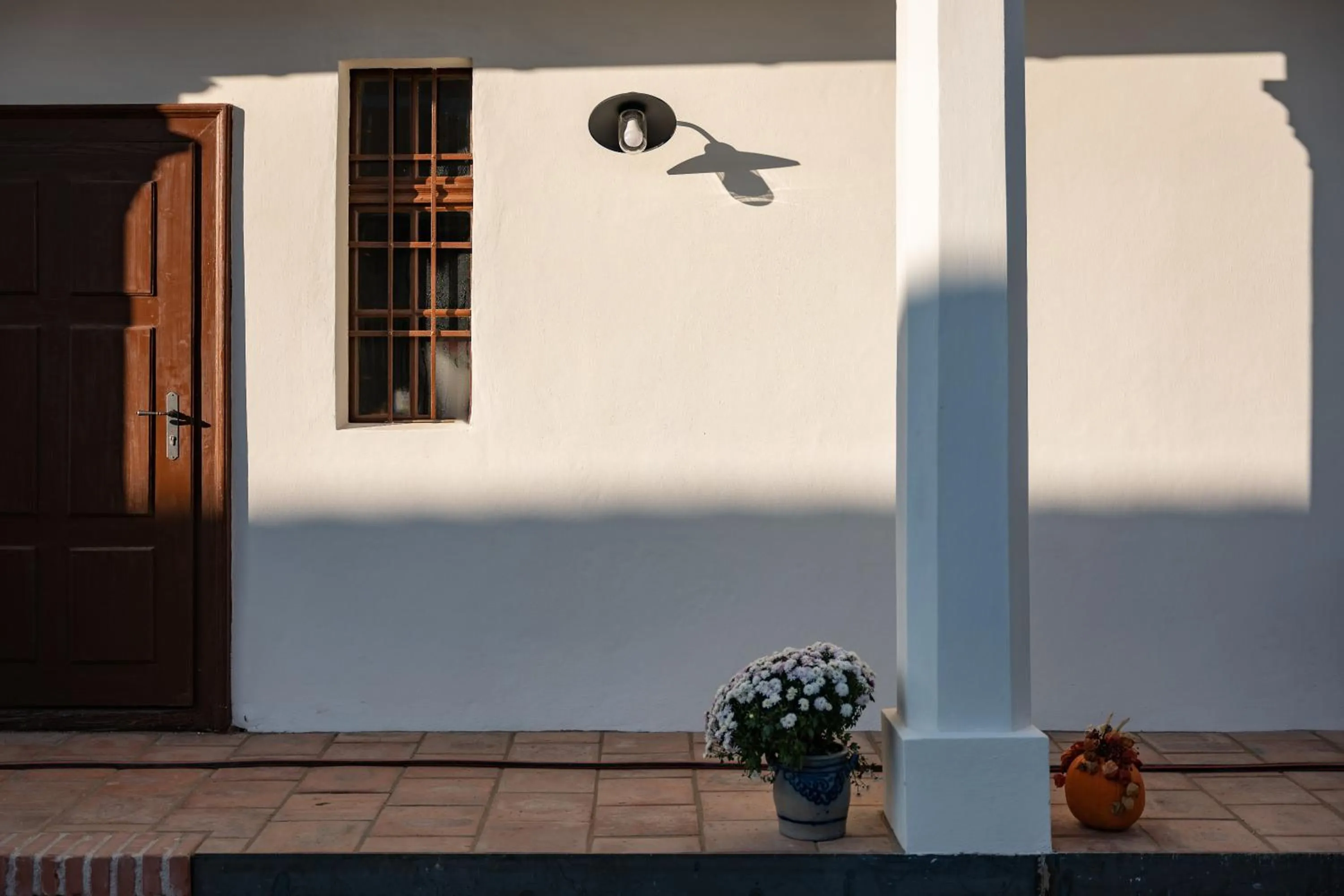 Property building in Tschardakenhof Appartements