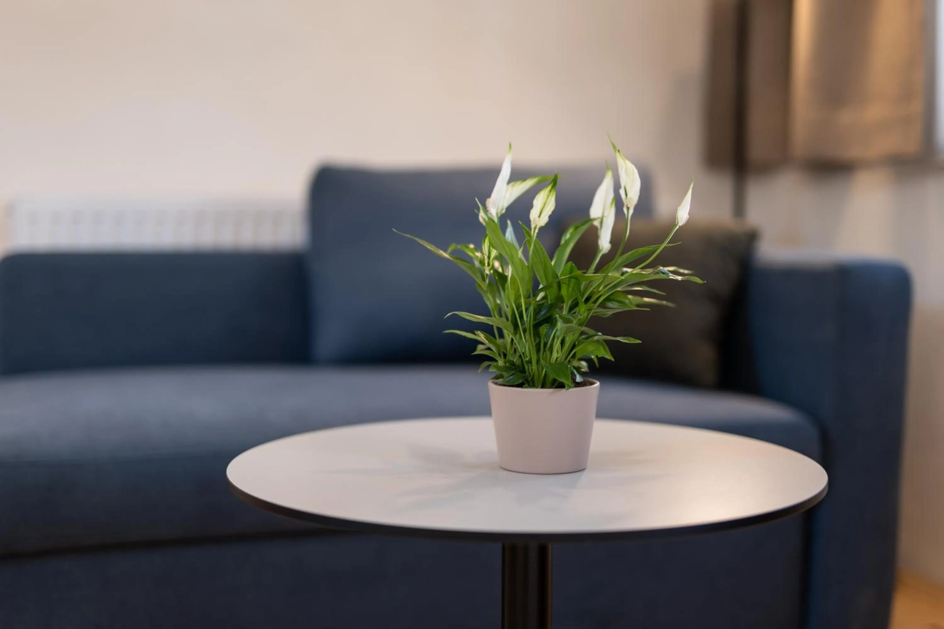 Living room in Tschardakenhof Appartements