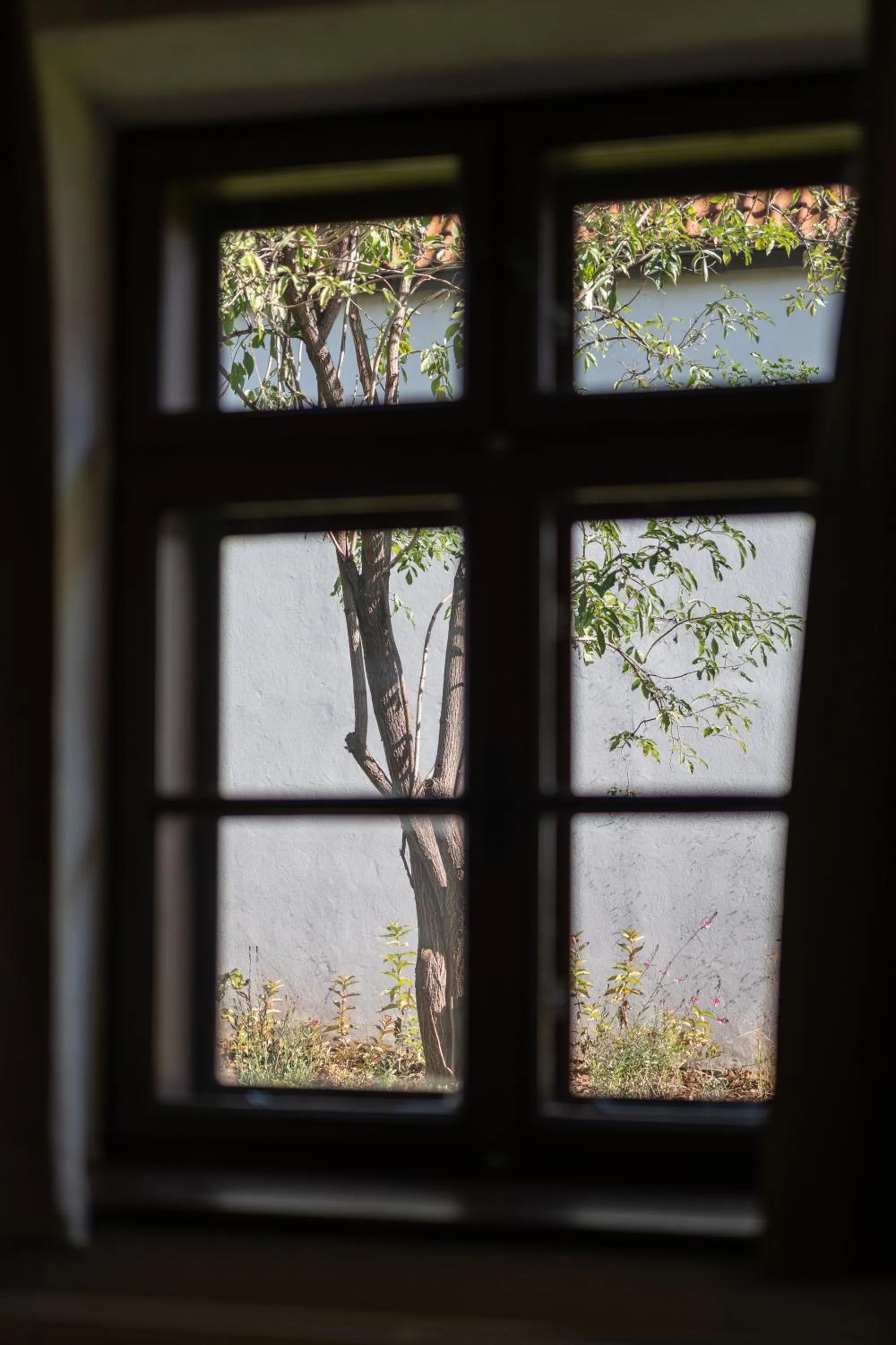 View (from property/room) in Tschardakenhof Appartements