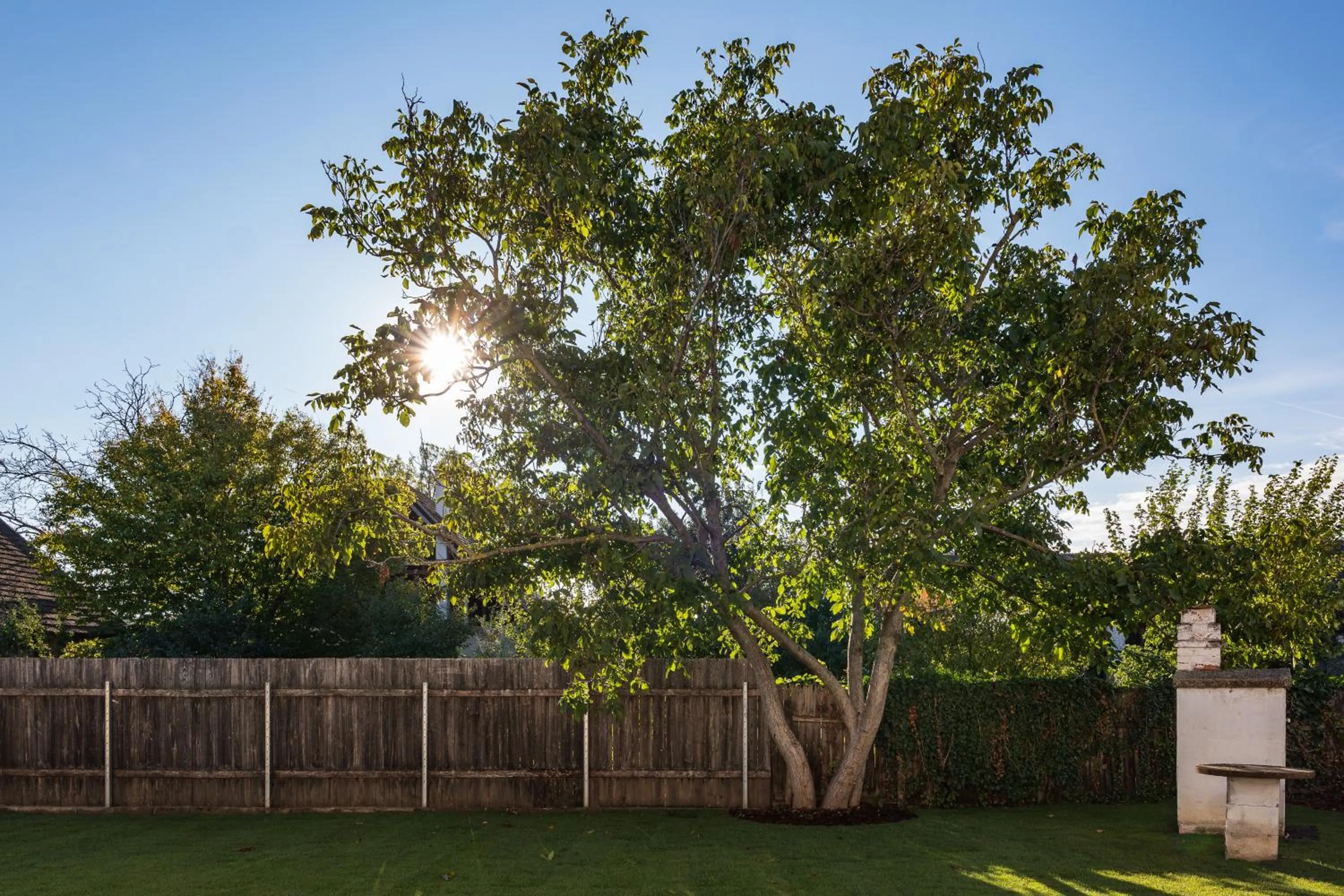 Garden in Tschardakenhof Appartements