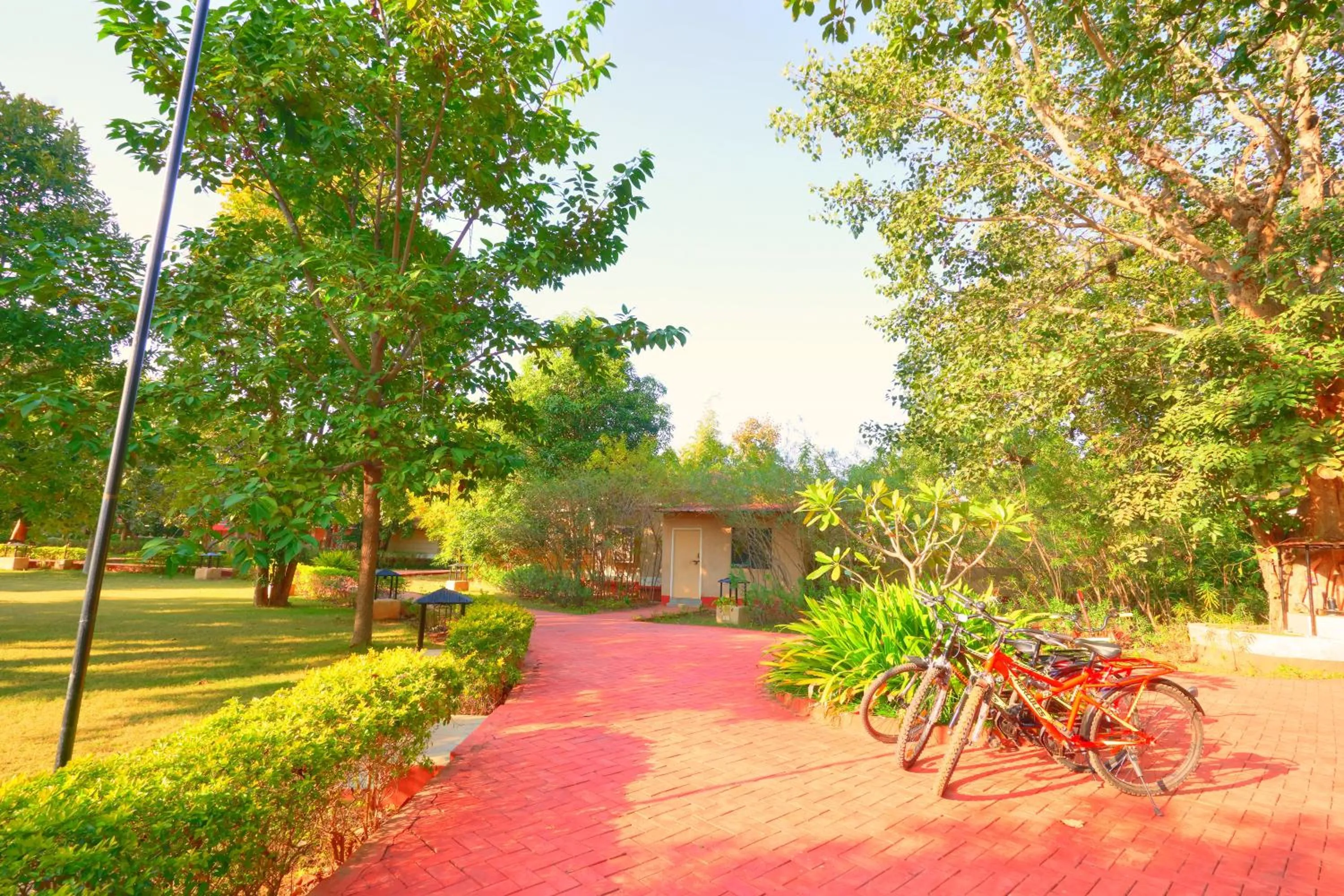Garden view in Bundela Bandhavgarh by Octave