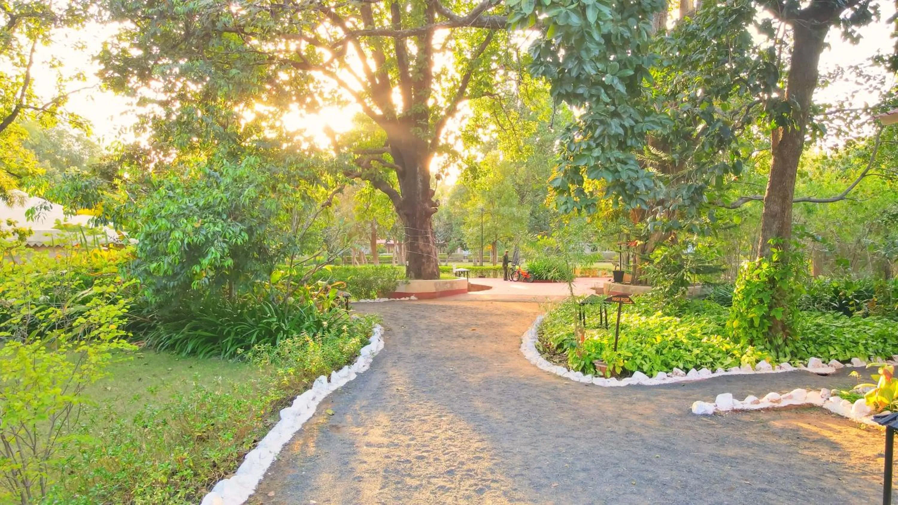 Garden in Bundela Bandhavgarh by Octave