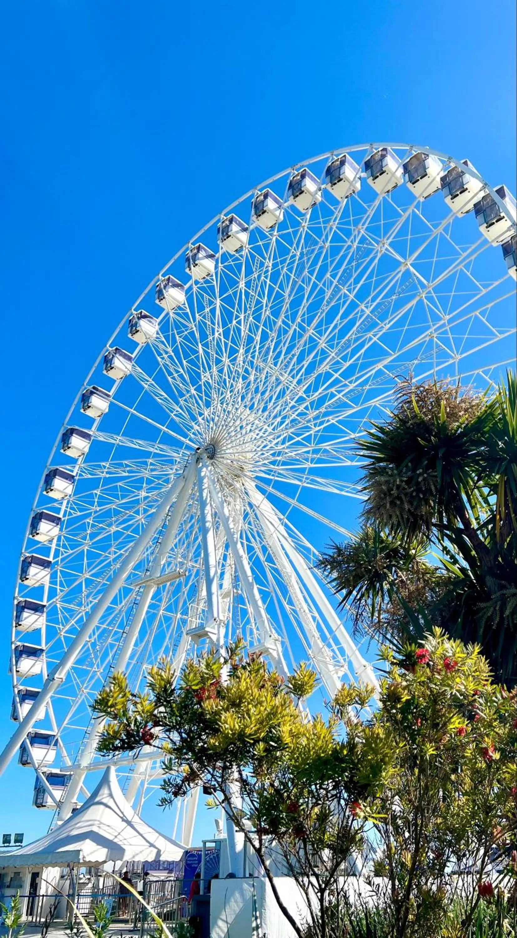 Beach in Pearl & Pebbles Eastbourne