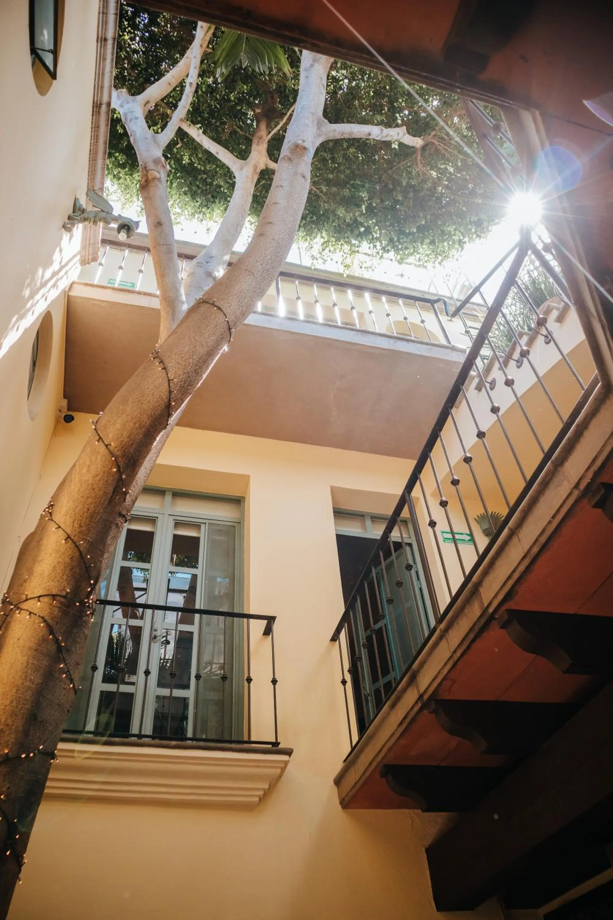 Property building in Casa Florida