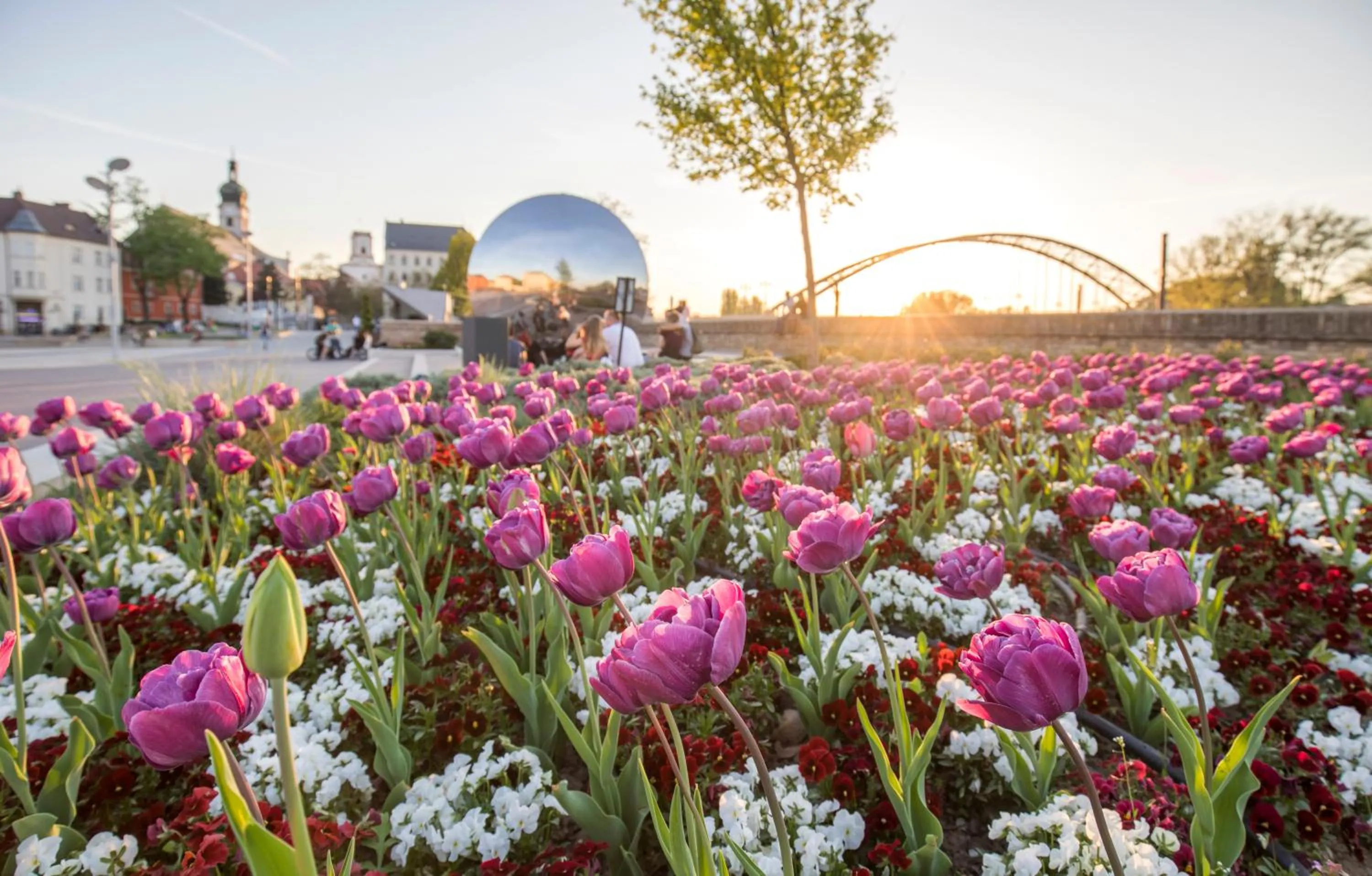 Location in Ibis Győr