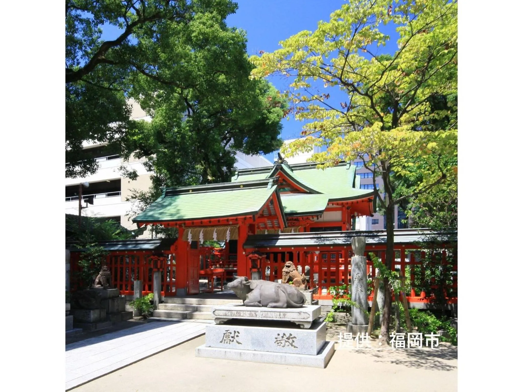 Court Hotel Fukuoka Tenjin - Vacation STAY 42330v