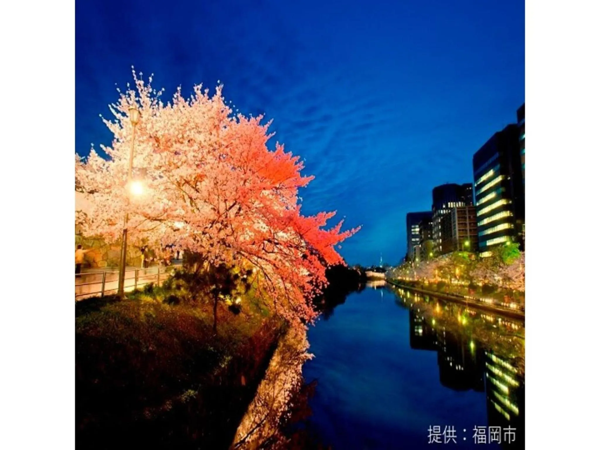 Court Hotel Fukuoka Tenjin - Vacation STAY 42334v