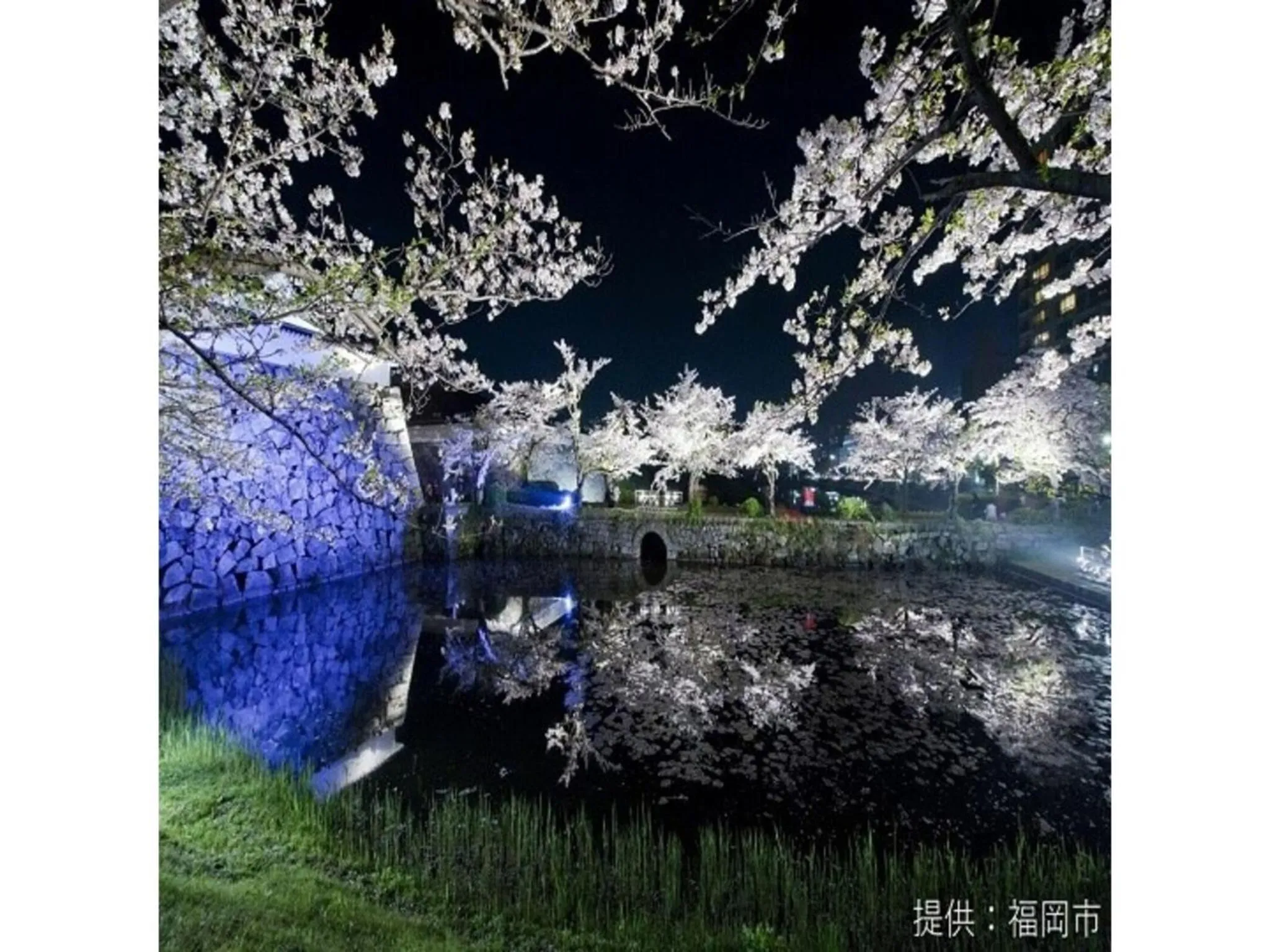 Court Hotel Fukuoka Tenjin - Vacation STAY 42334v