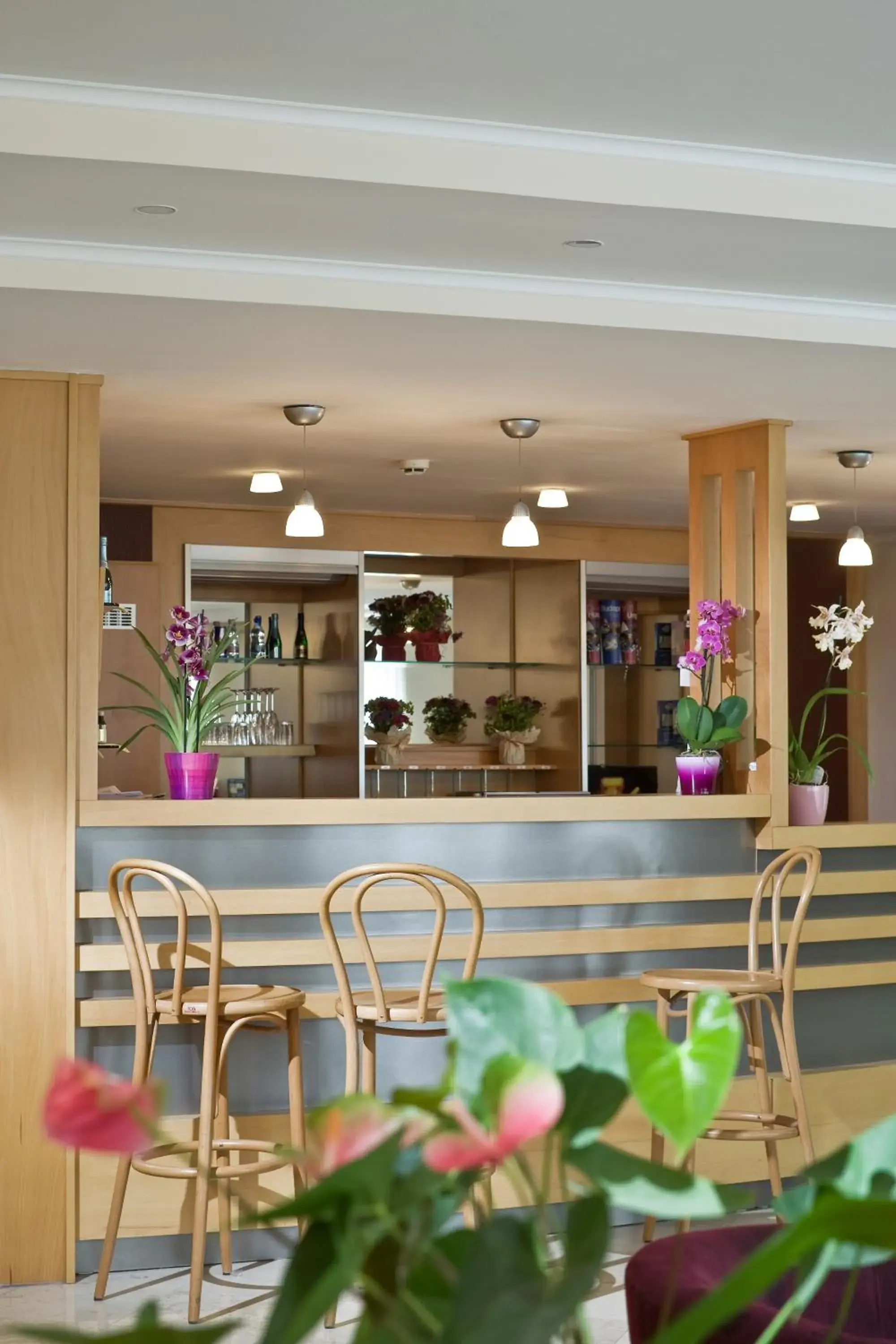 Lobby or reception in Jagelló Business Hotel Lobby or reception in Jagelló Business Hotel