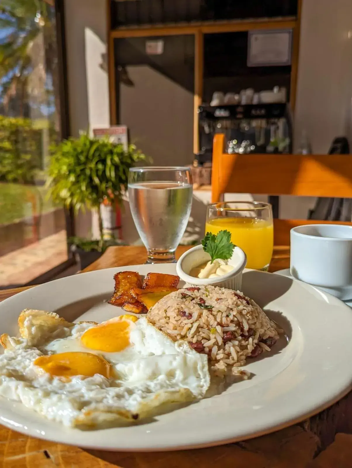 Restaurant/places to eat in El Nido Lodge Restaurant/places to eat in El Nido Lodge