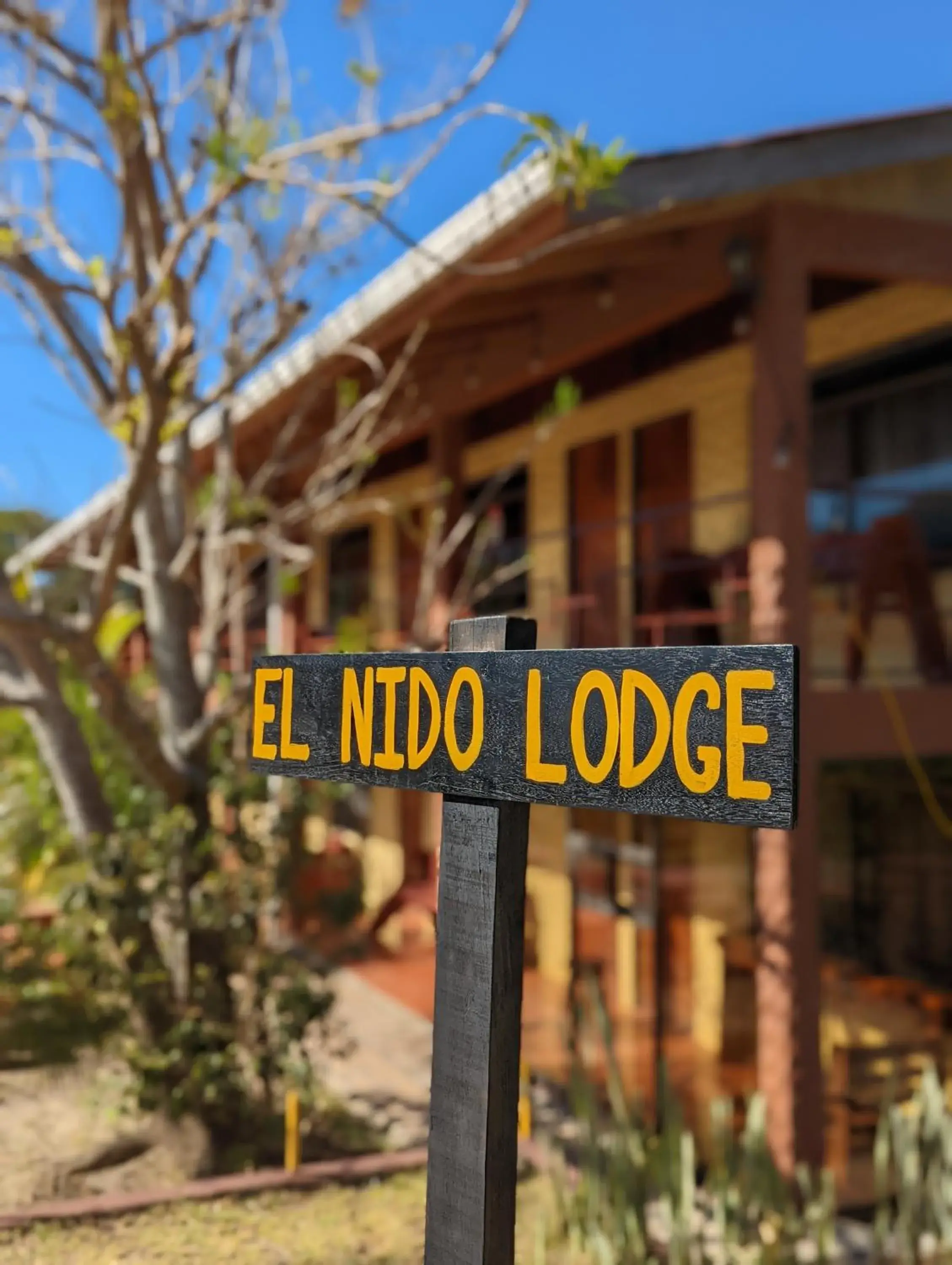 Facade/entrance in El Nido Lodge Facade/entrance in El Nido Lodge