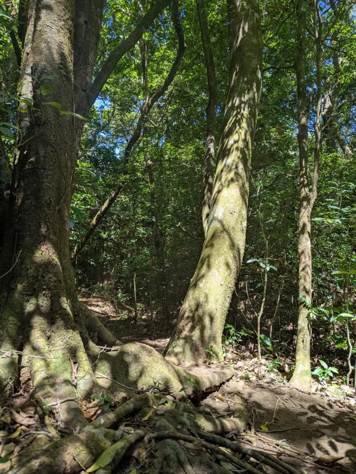 Hiking in El Nido Lodge