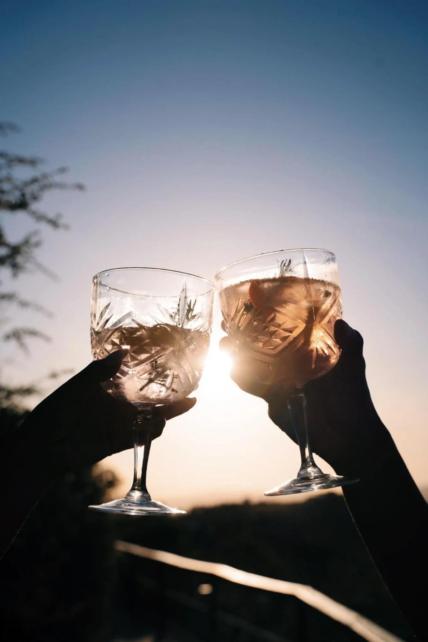 Day in Camp Figtree by The Oyster Collection