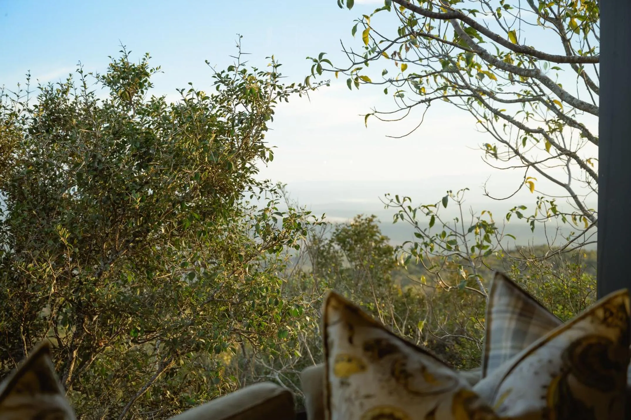 Natural landscape in Camp Figtree by The Oyster Collection