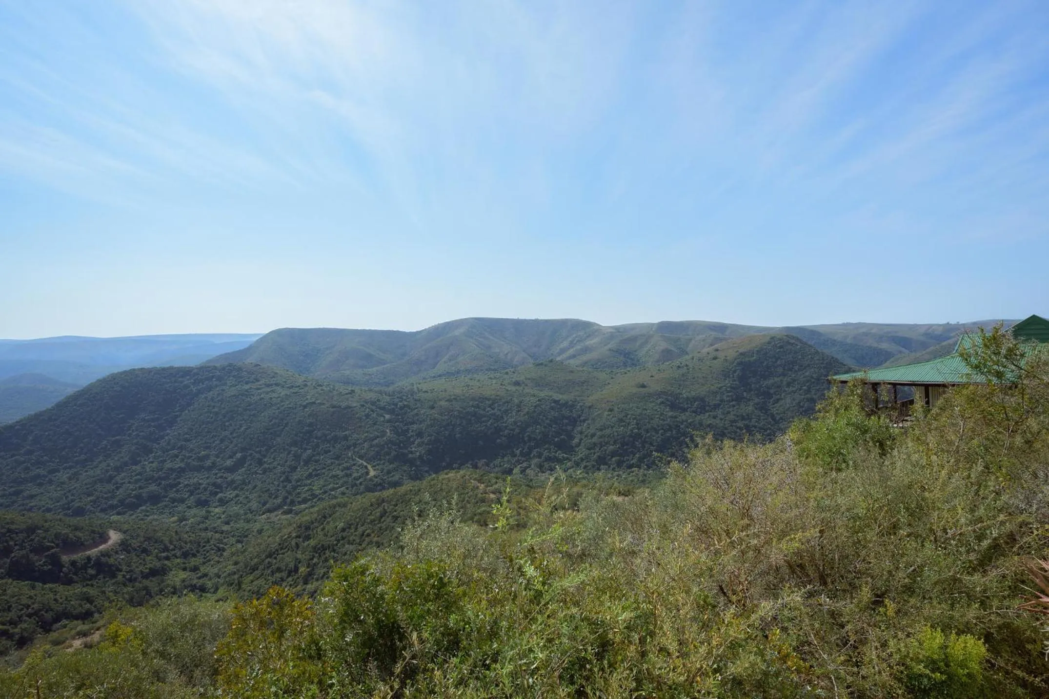Camp Figtree by The Oyster Collection