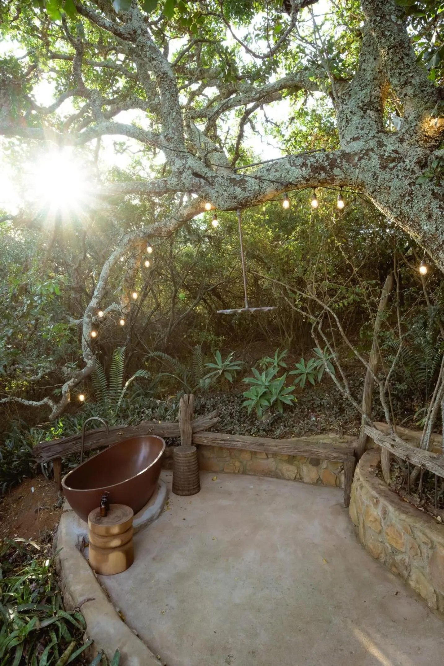 Camp Figtree by The Oyster Collection