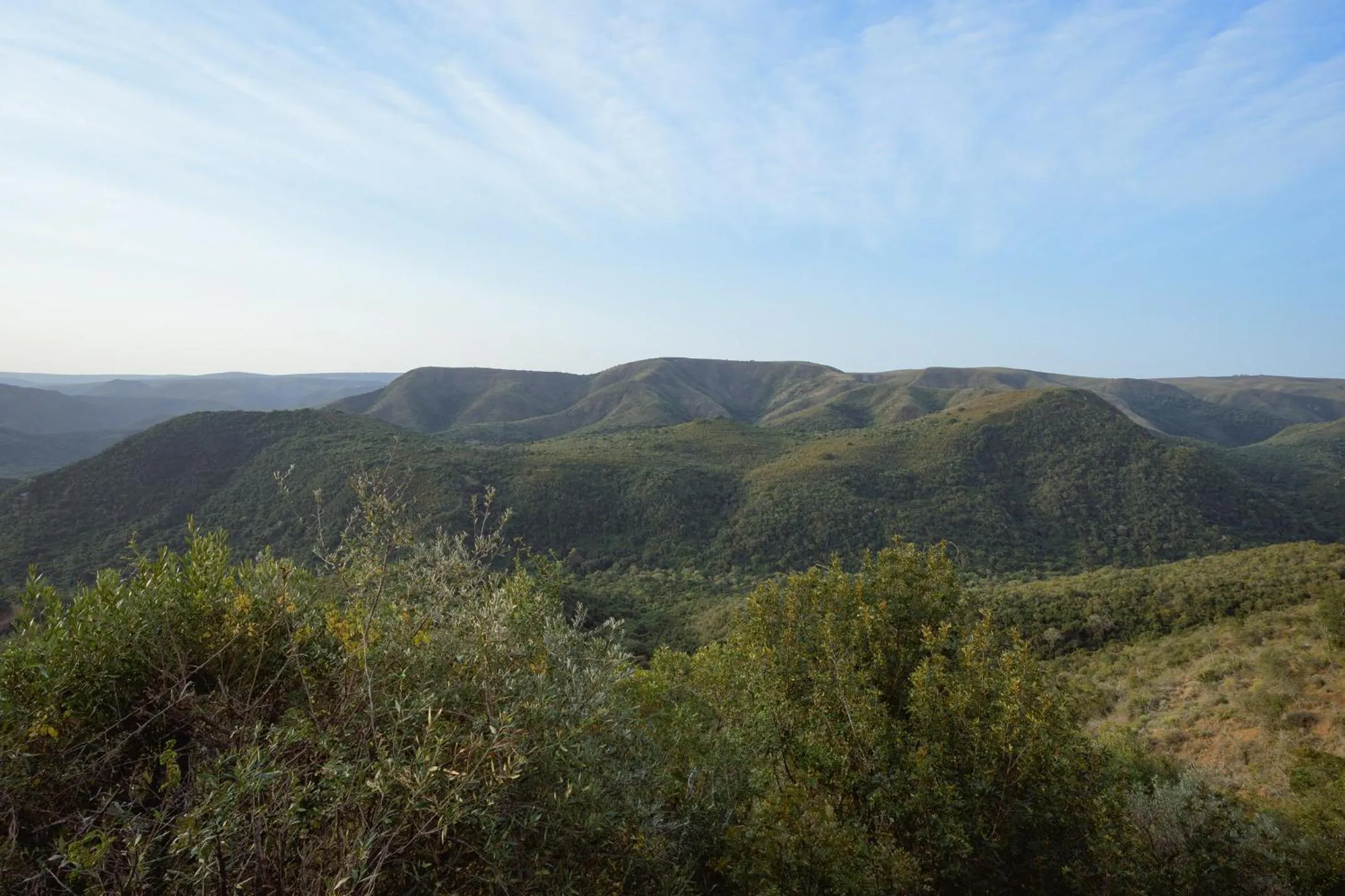 Camp Figtree by The Oyster Collection
