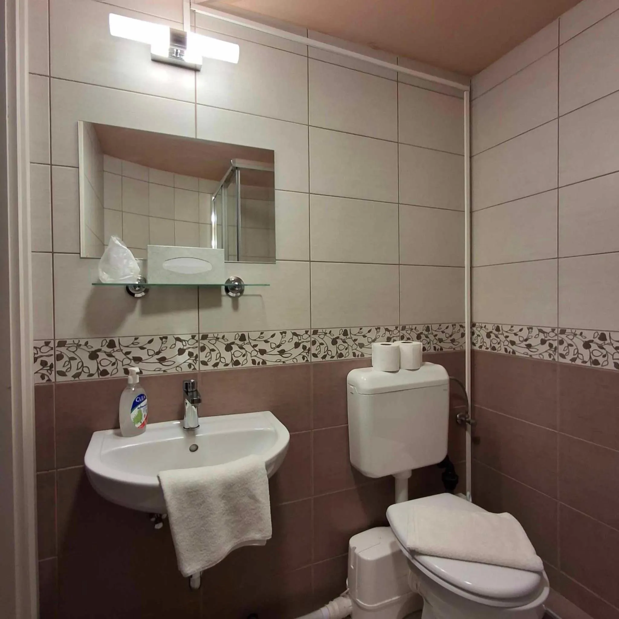 Toilet in Hotel Unicornis