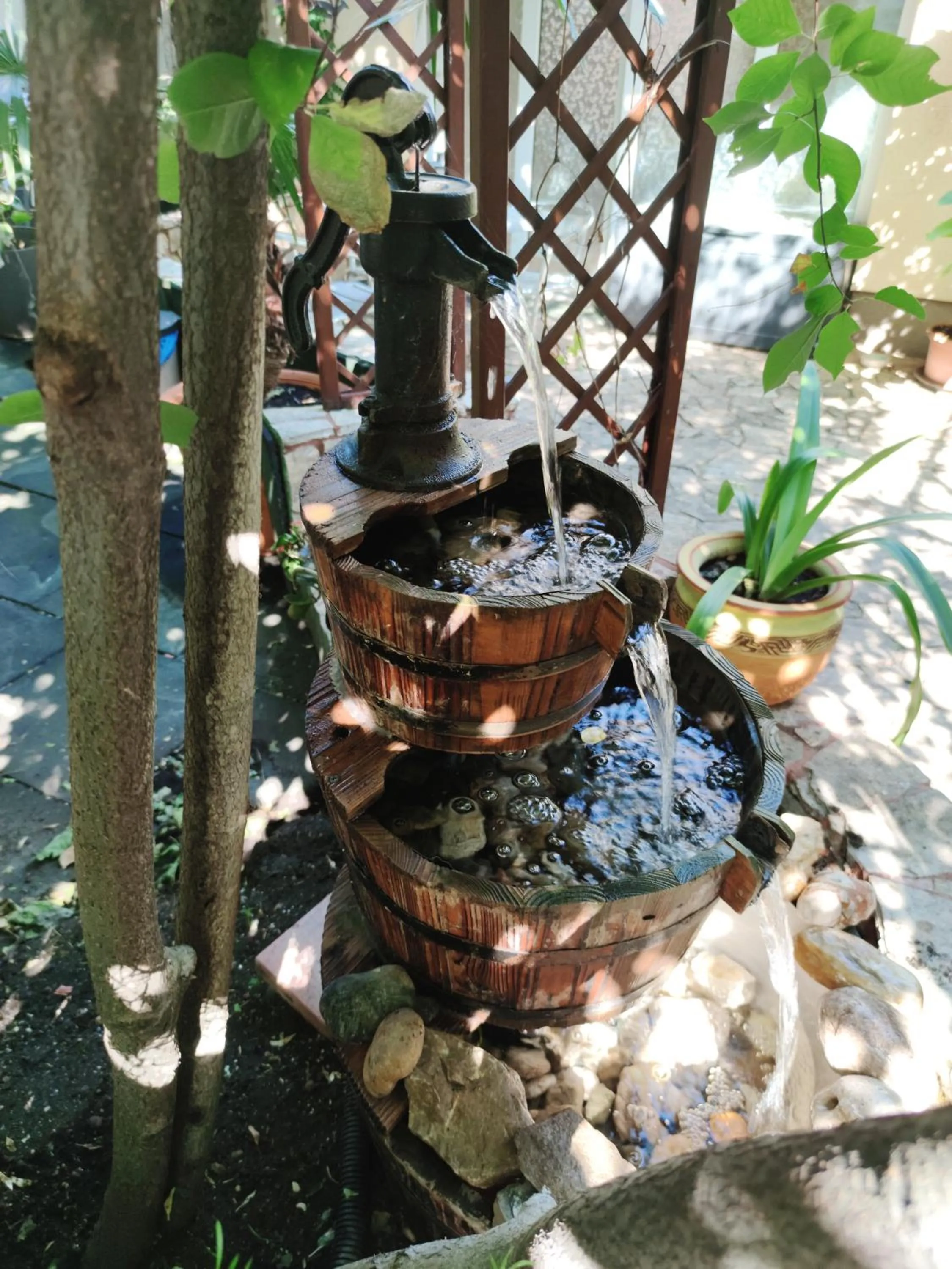 Garden in Hotel Oswaldo