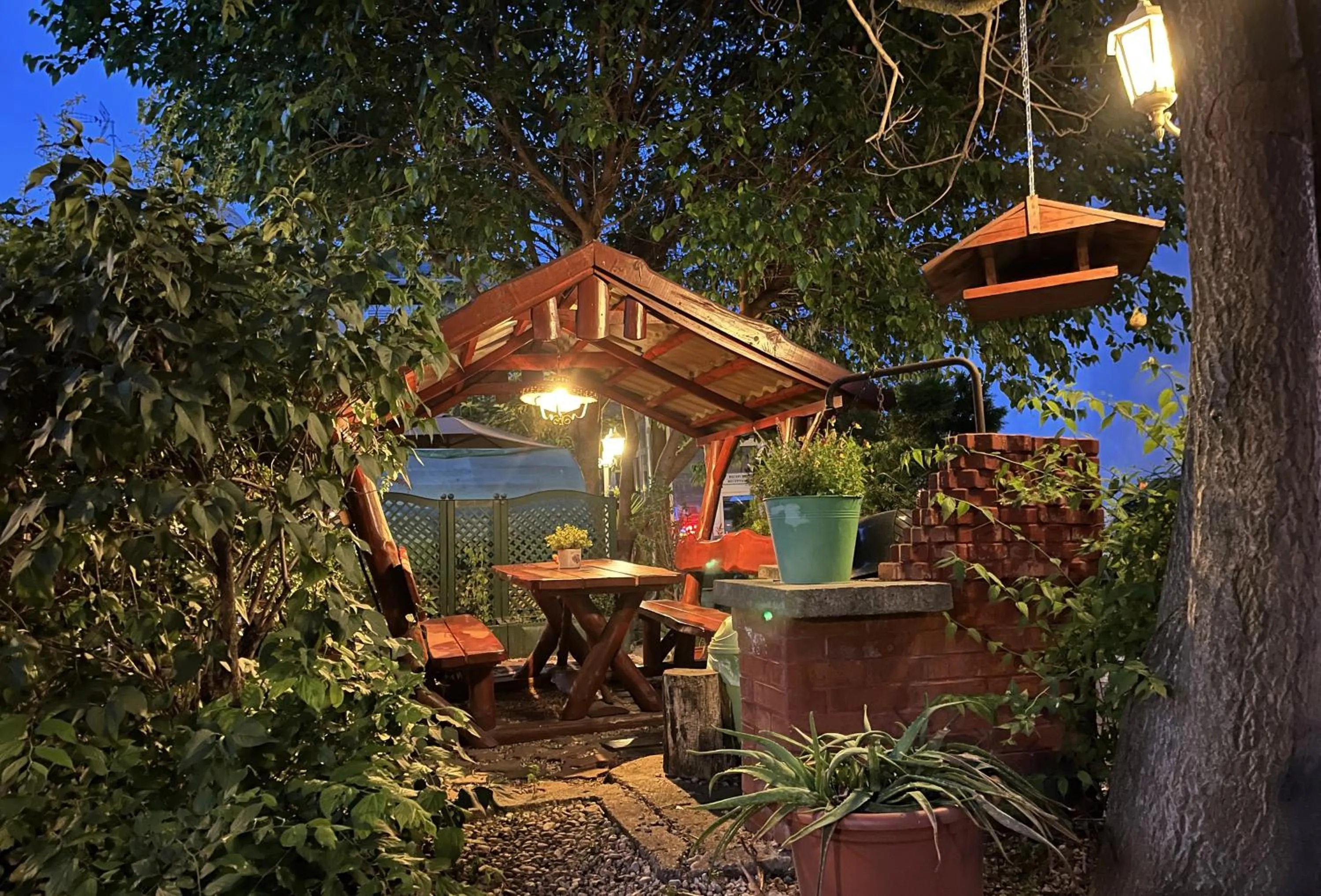 Garden in Hotel Oswaldo