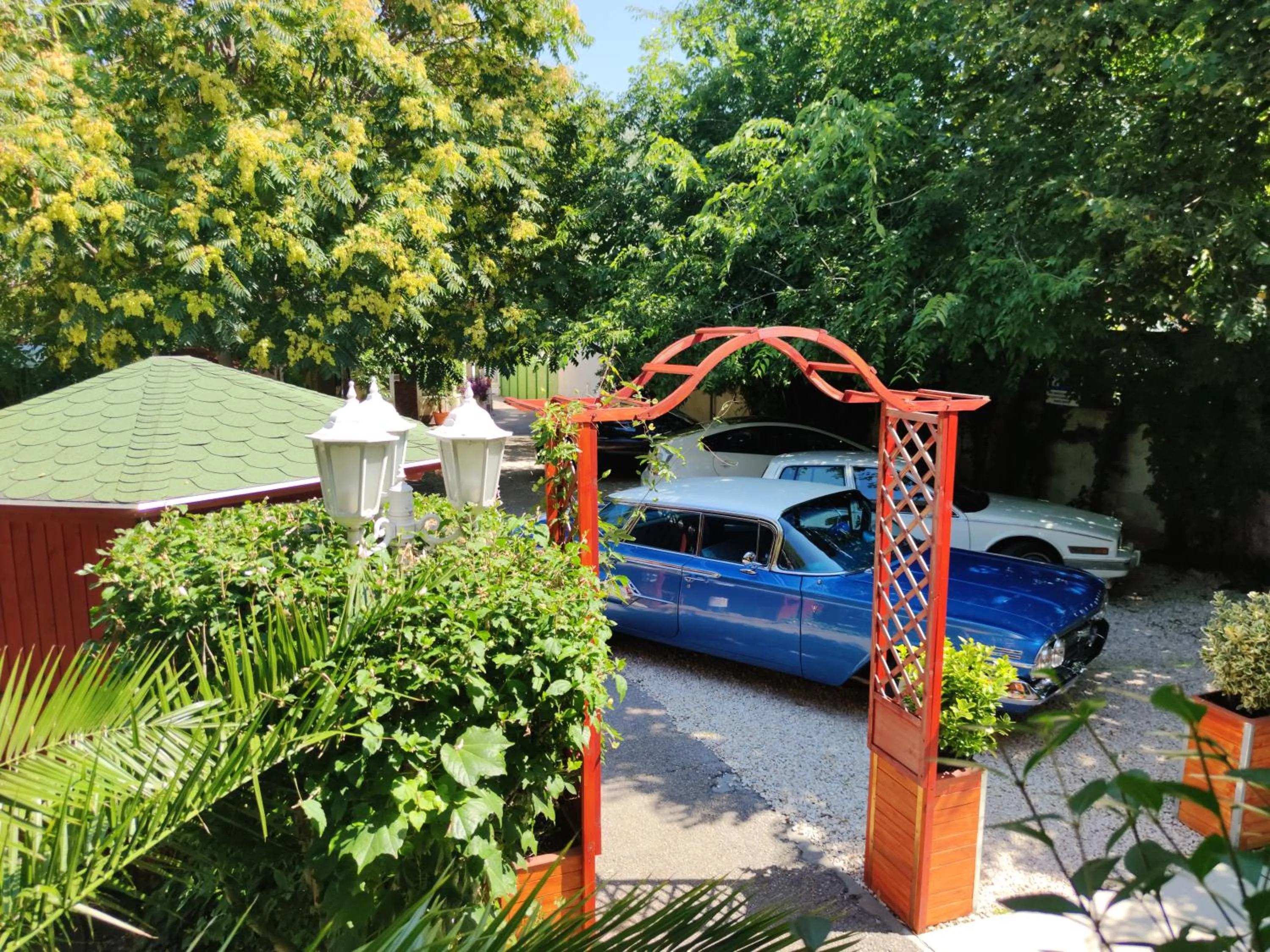 Garden in Hotel Oswaldo