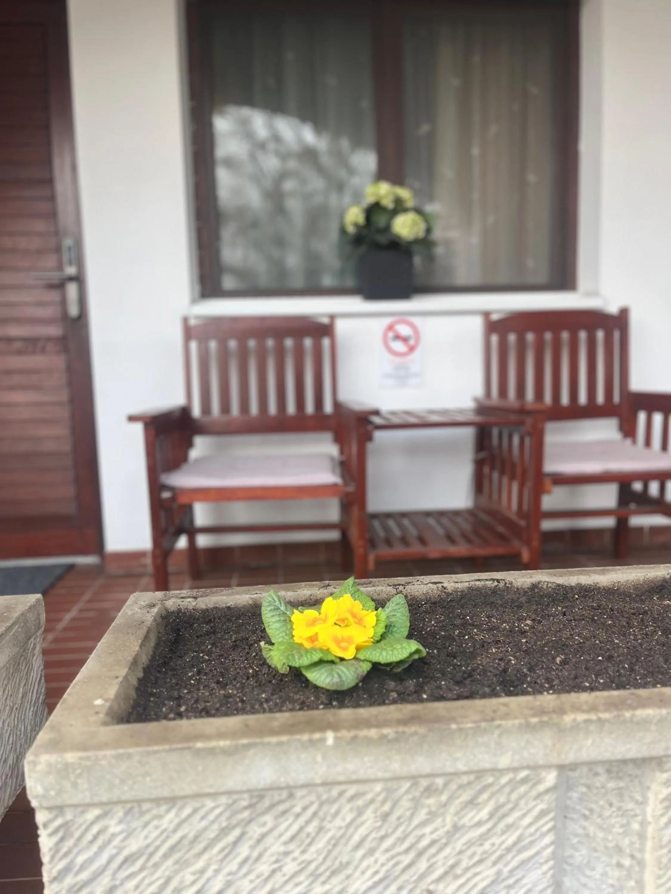 Balcony/Terrace in Hotel Oswaldo