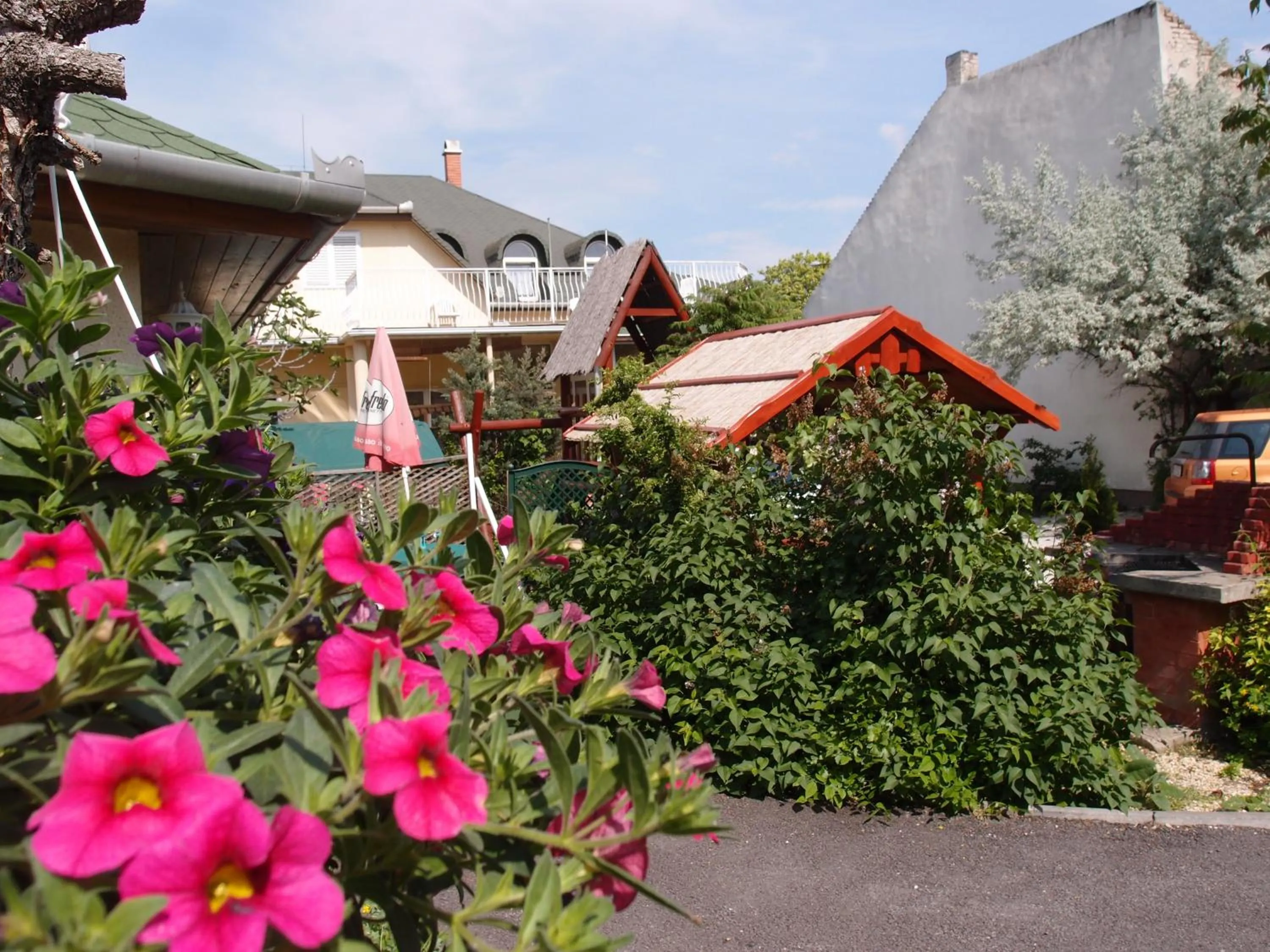 Garden in Hotel Oswaldo