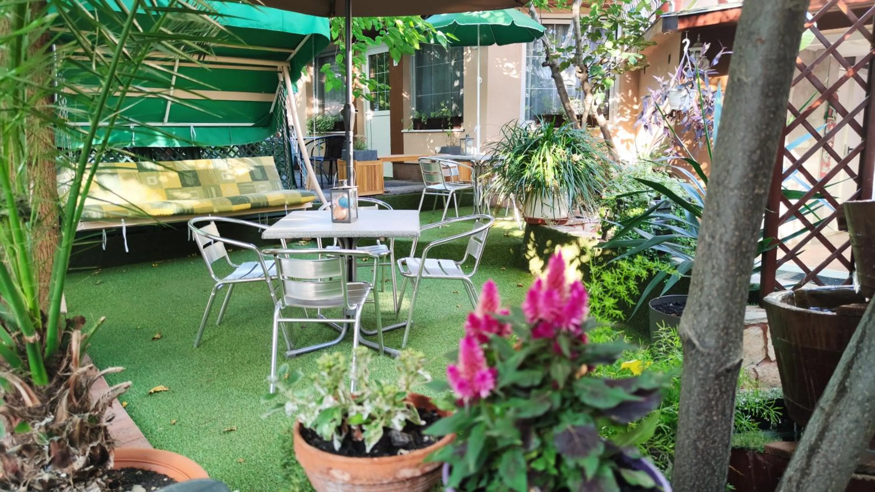 Garden in Hotel Oswaldo