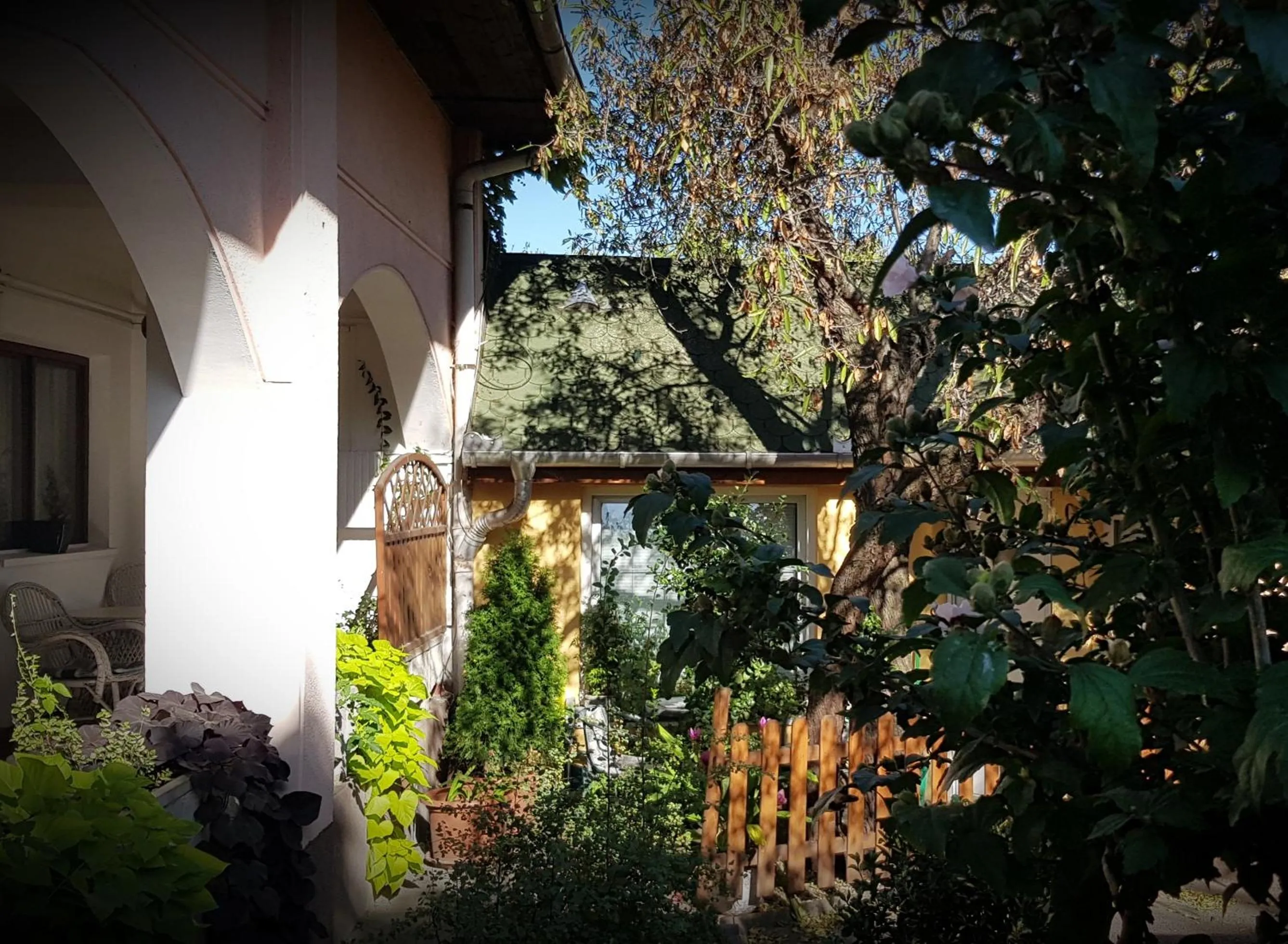 Garden in Hotel Oswaldo