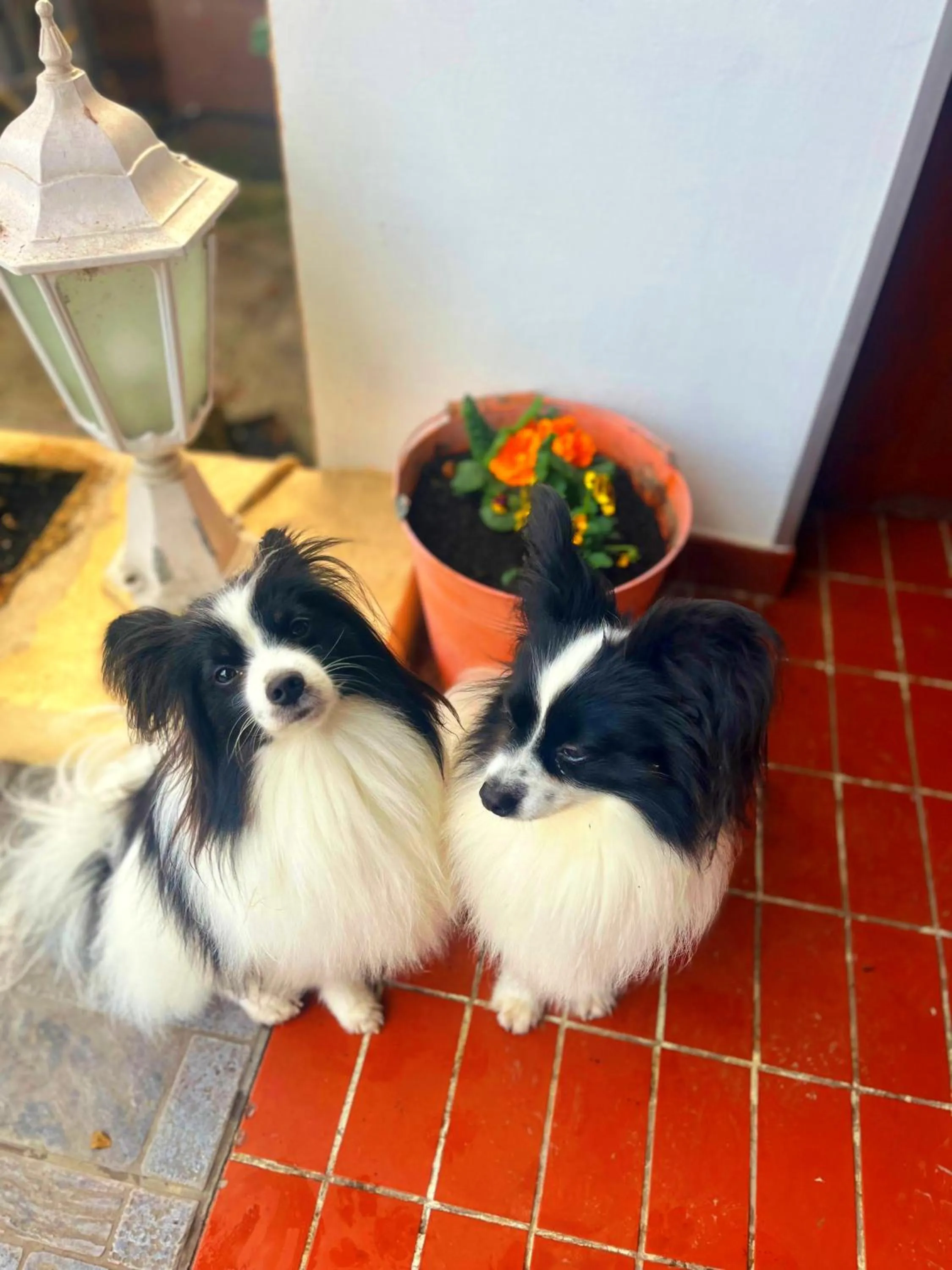 Staff in Hotel Oswaldo