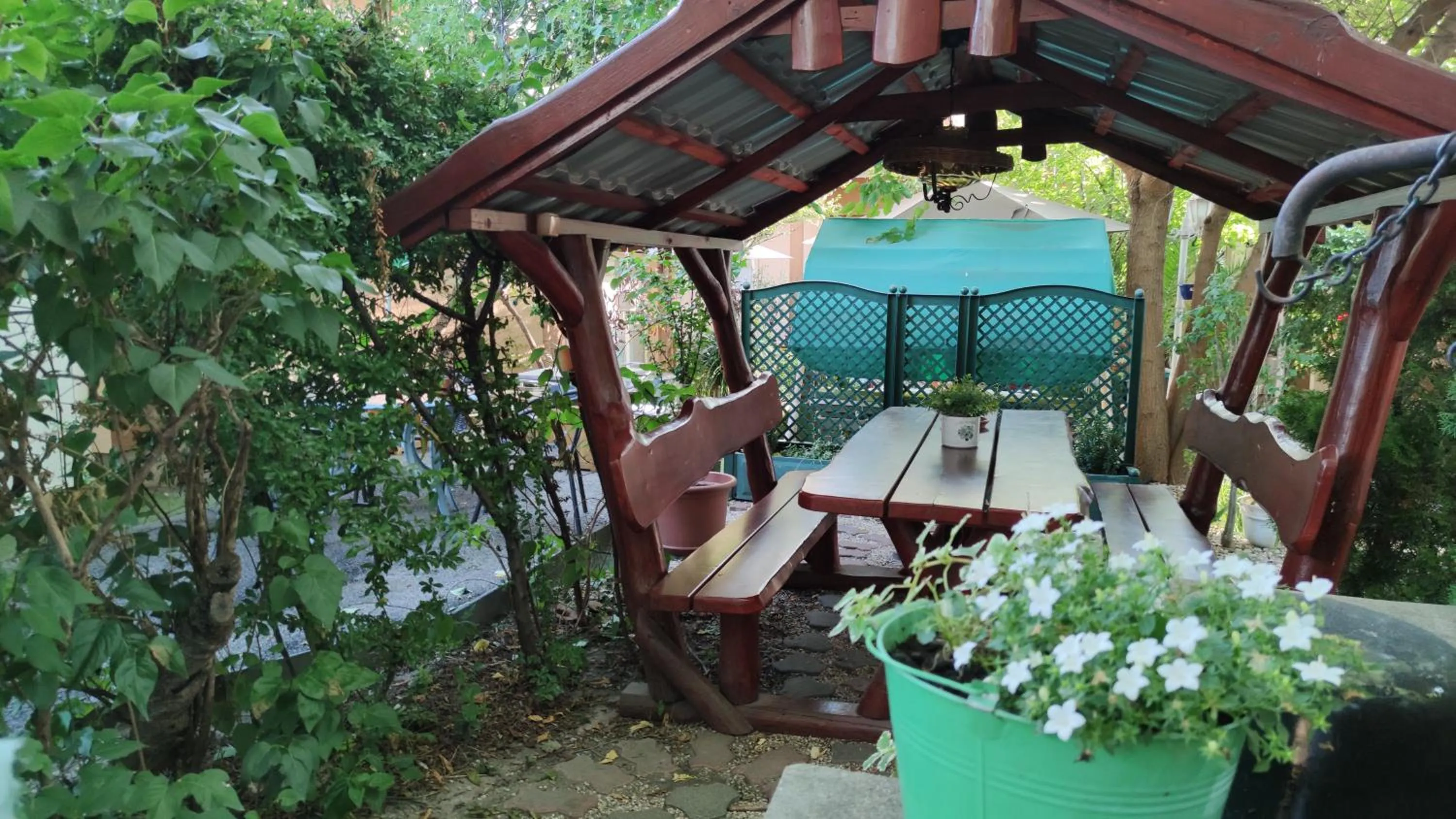 Garden in Hotel Oswaldo