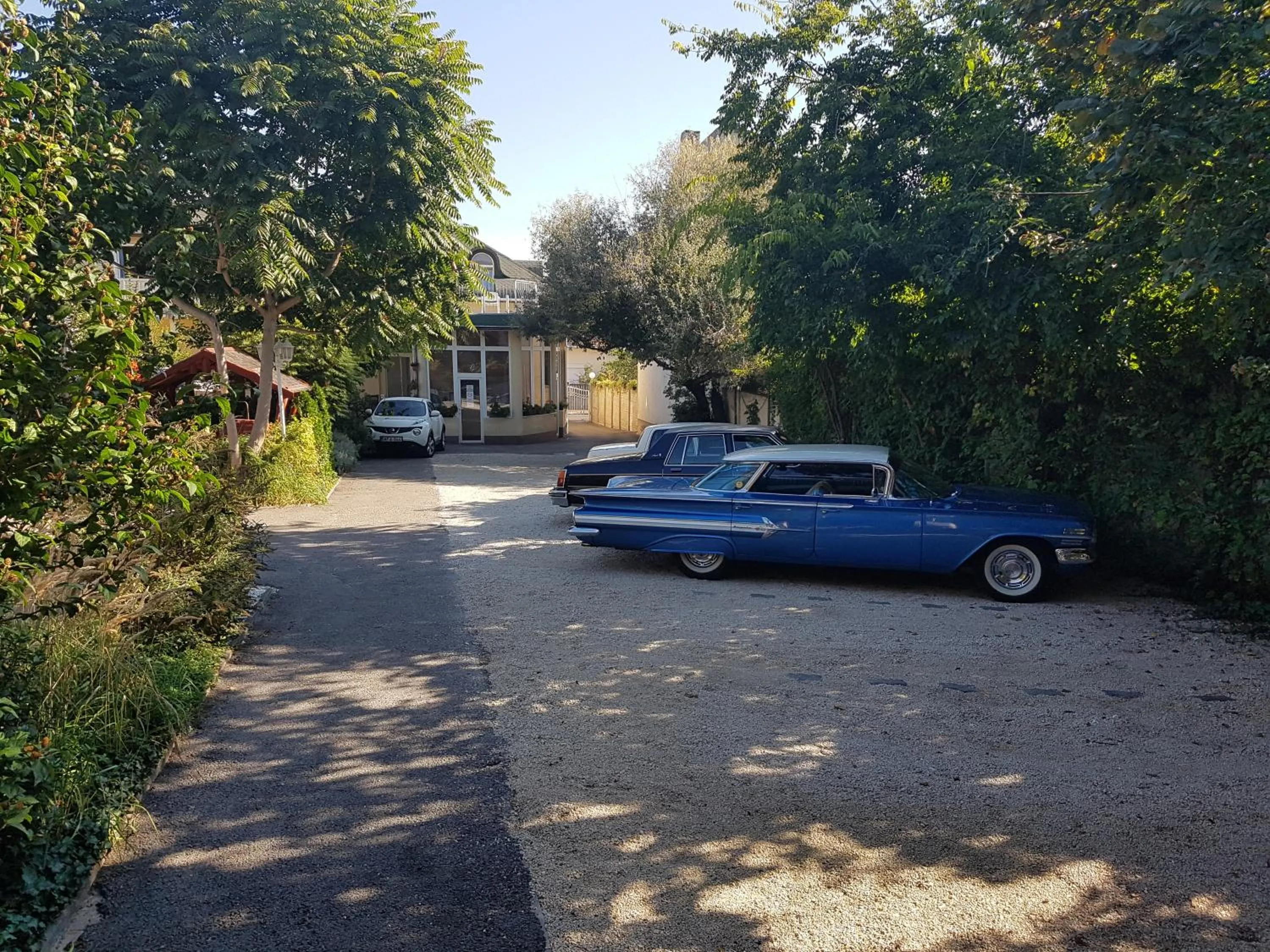 Garden view in Hotel Oswaldo