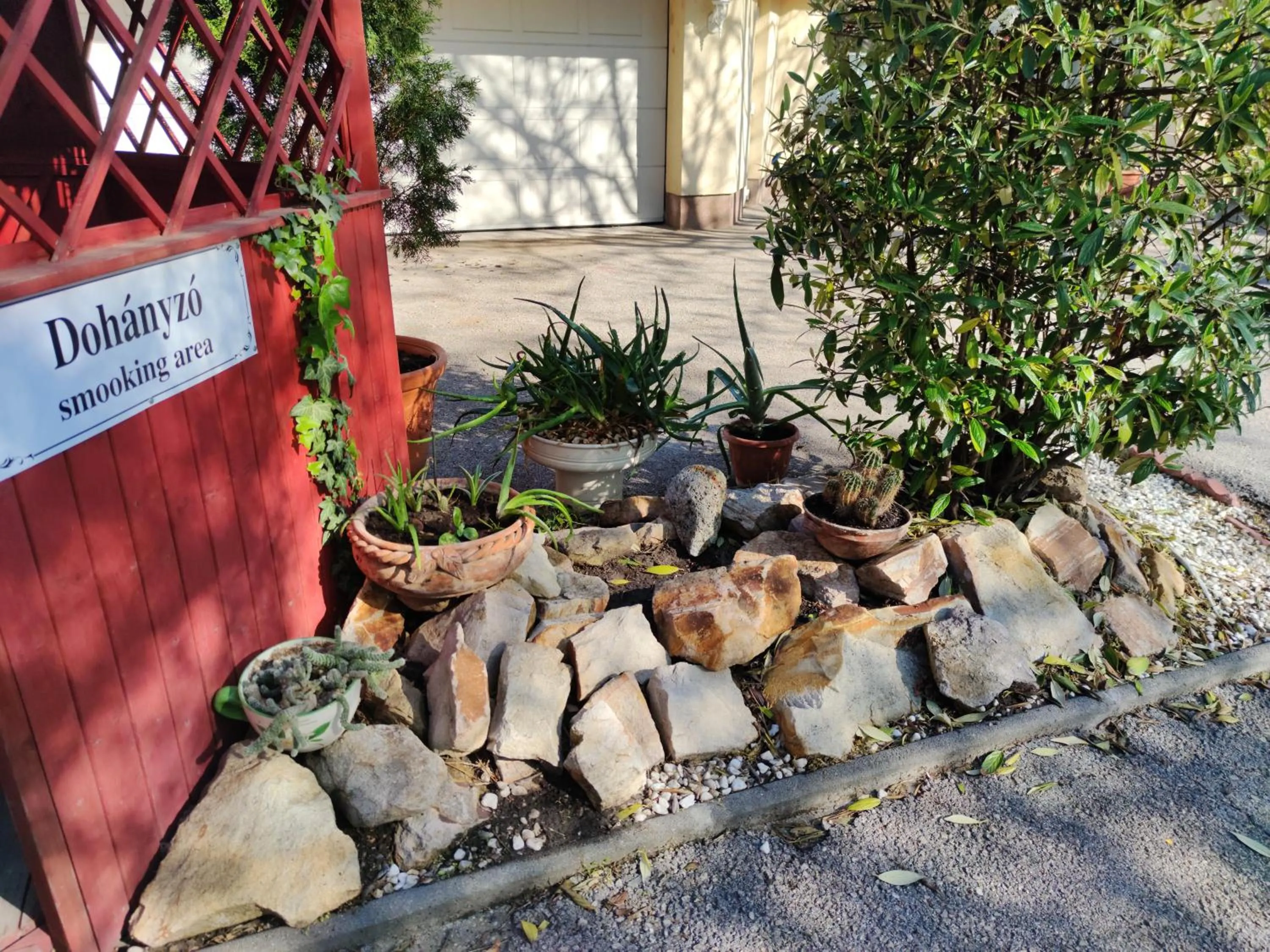 Garden in Hotel Oswaldo