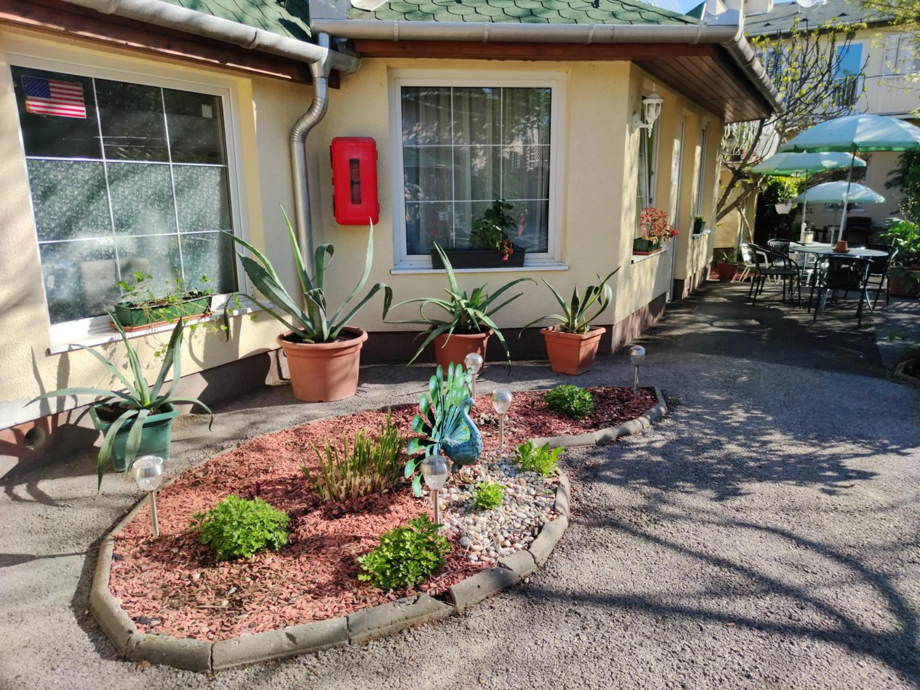 Garden in Hotel Oswaldo