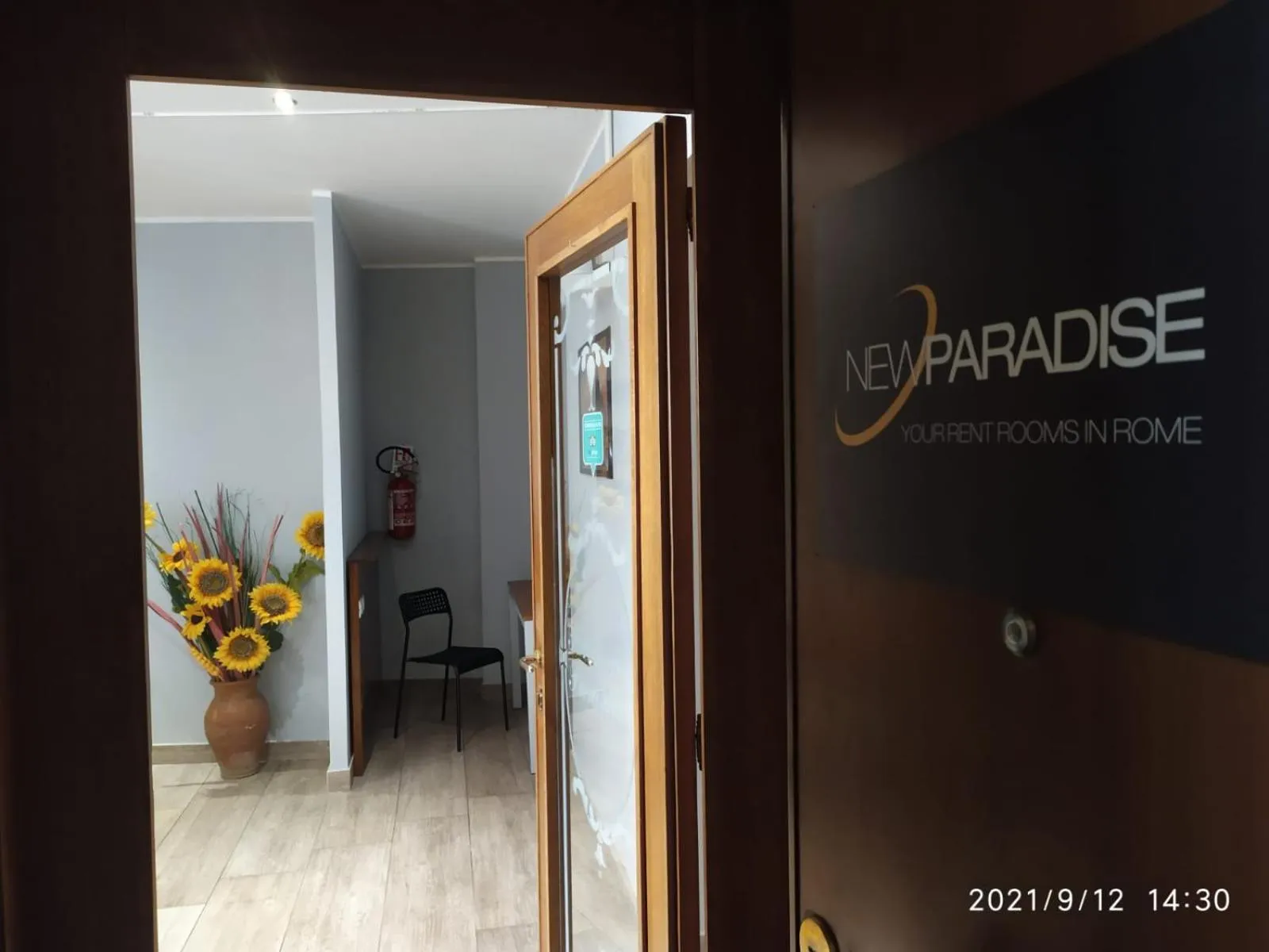 Logo/Certificate/Sign in NEW PARADISE