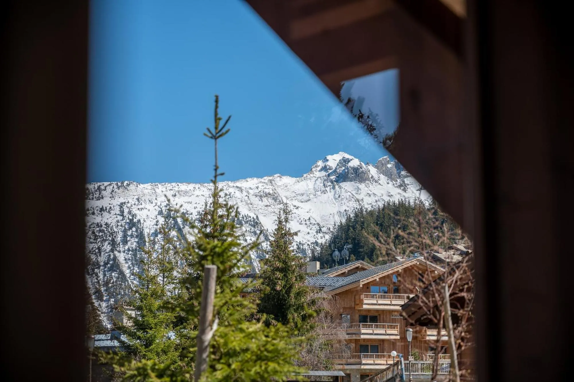 View (from property/room) in AUx SPORTS D HIVER