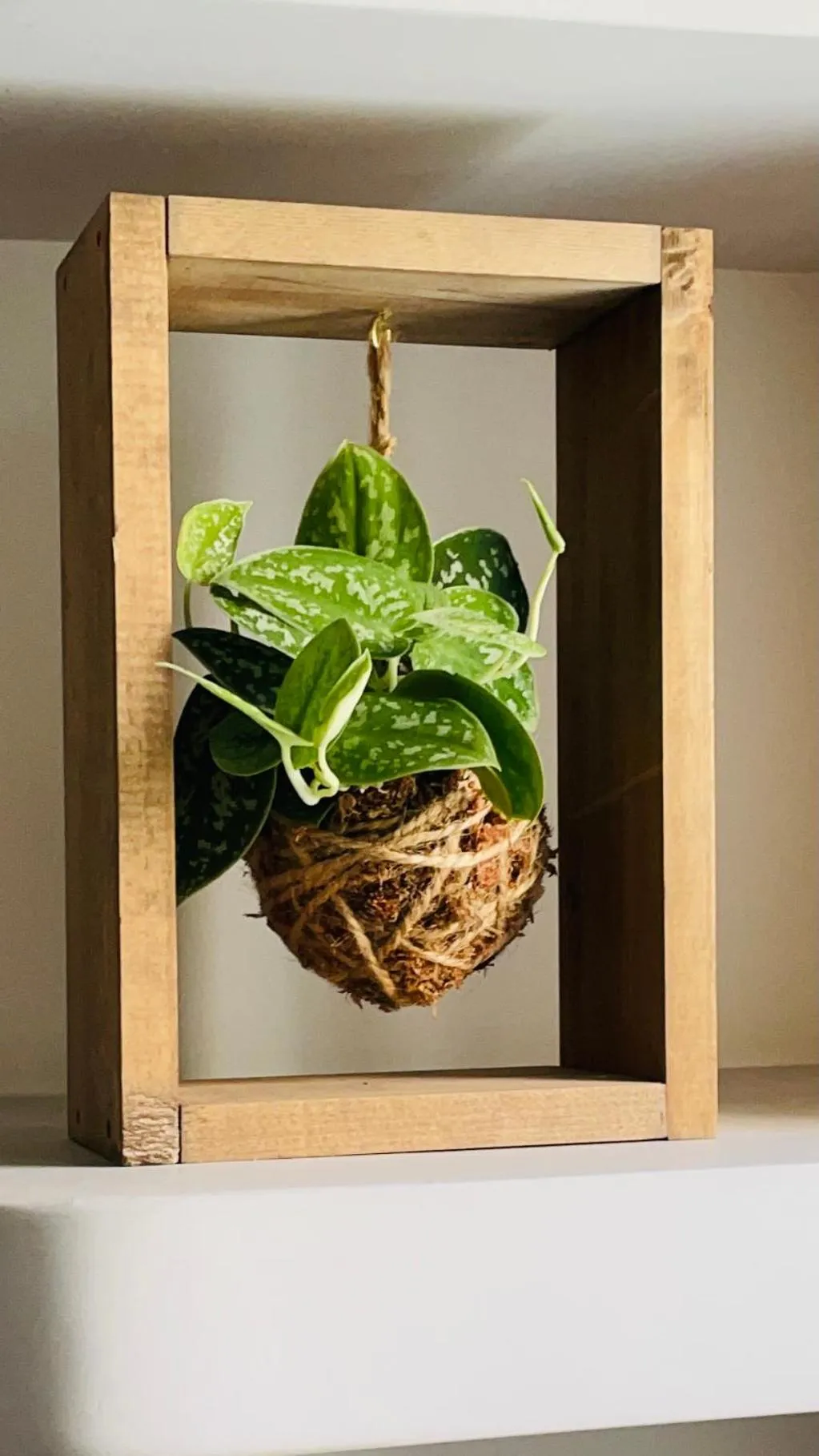 Floor plan in Corso Suite 107 Rooms Wellness & Spa