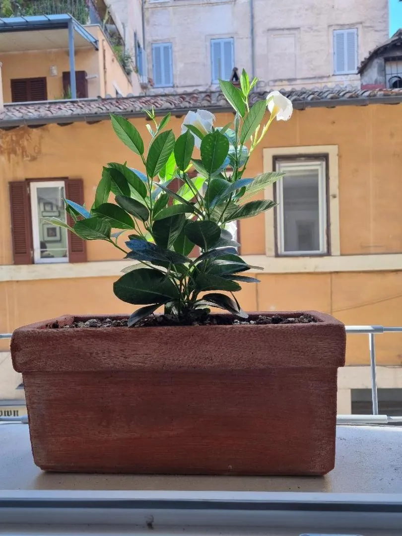 Facade/entrance in Corso Suite 107 Rooms Wellness & Spa