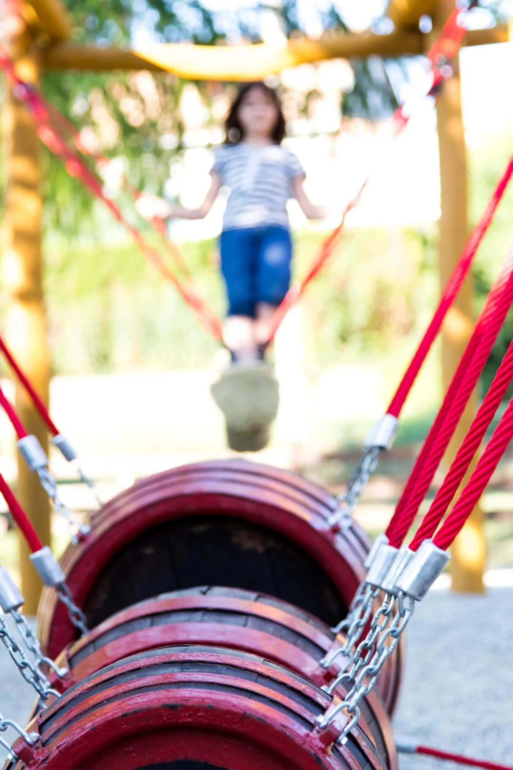 Children play ground in Hotel Vineyard Inn - Szőlőskert