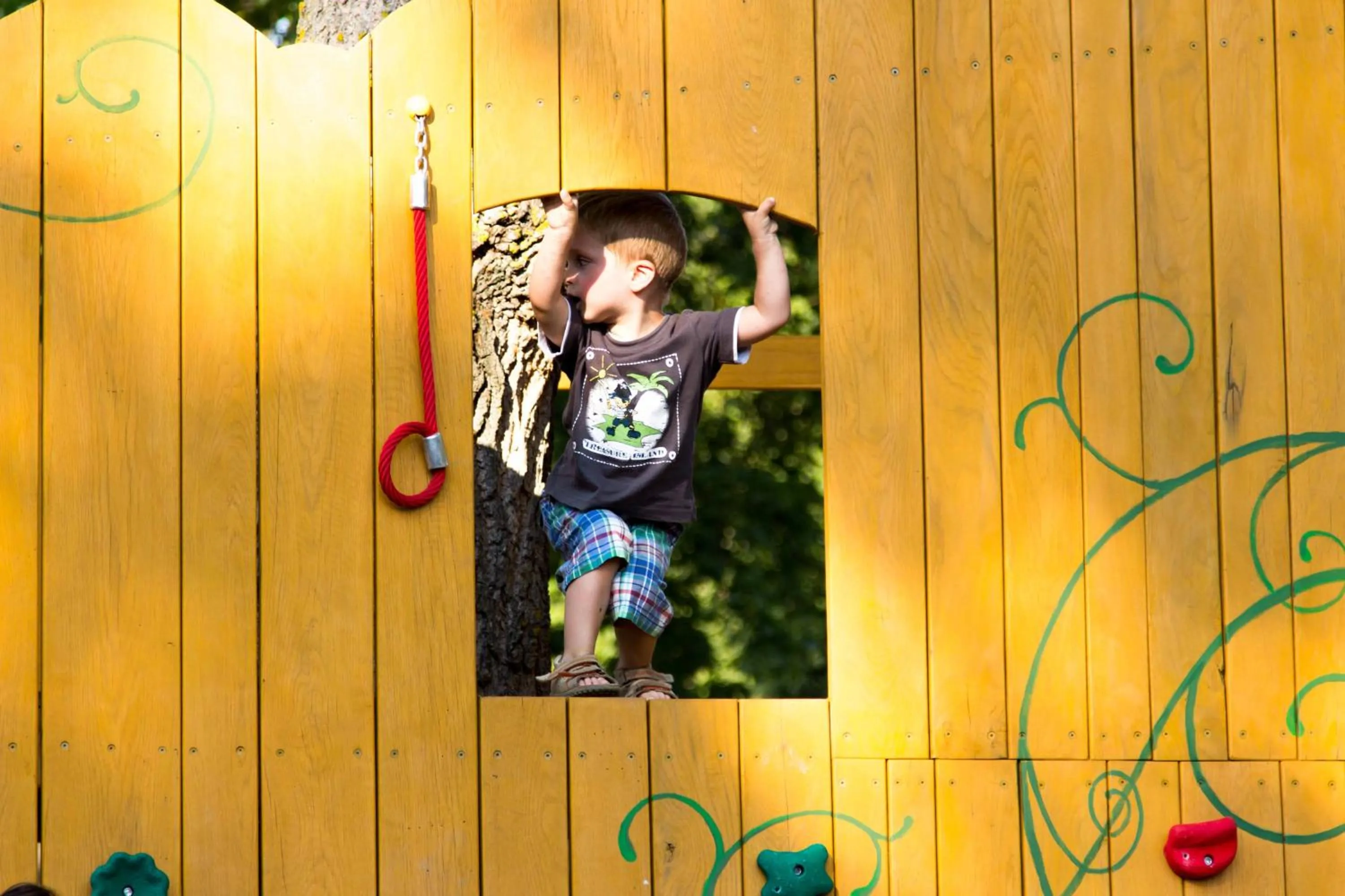 Children play ground in Hotel Vineyard Inn - Szőlőskert