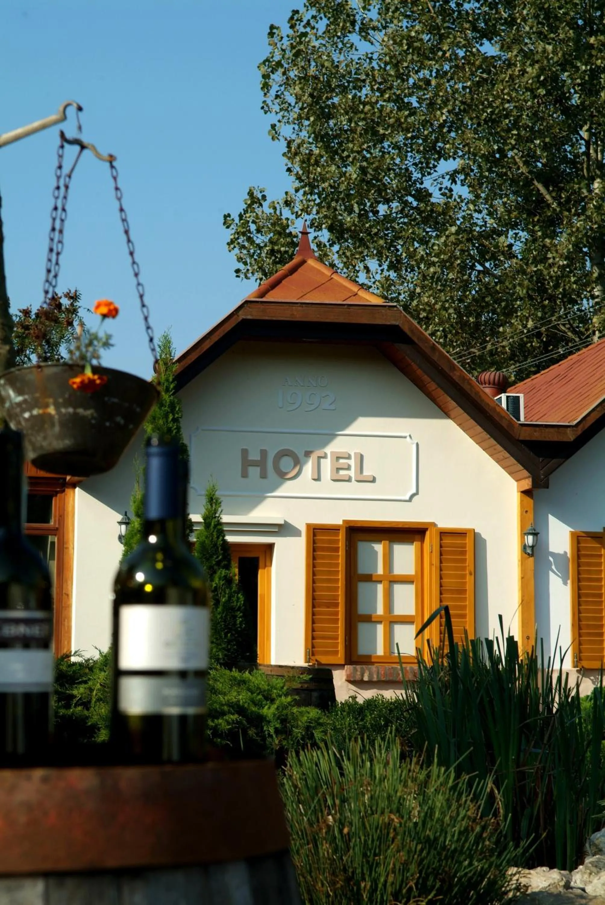 Facade/entrance in Hotel Vineyard Inn - Szőlőskert