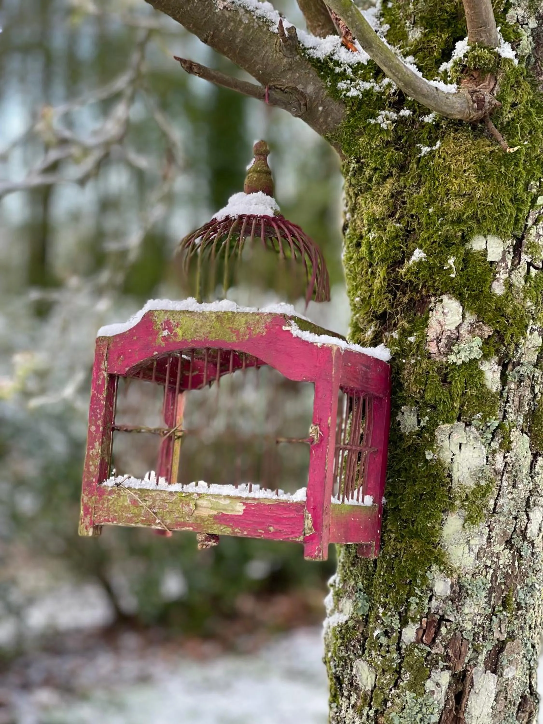 Property building in Domaine de Fresnoy