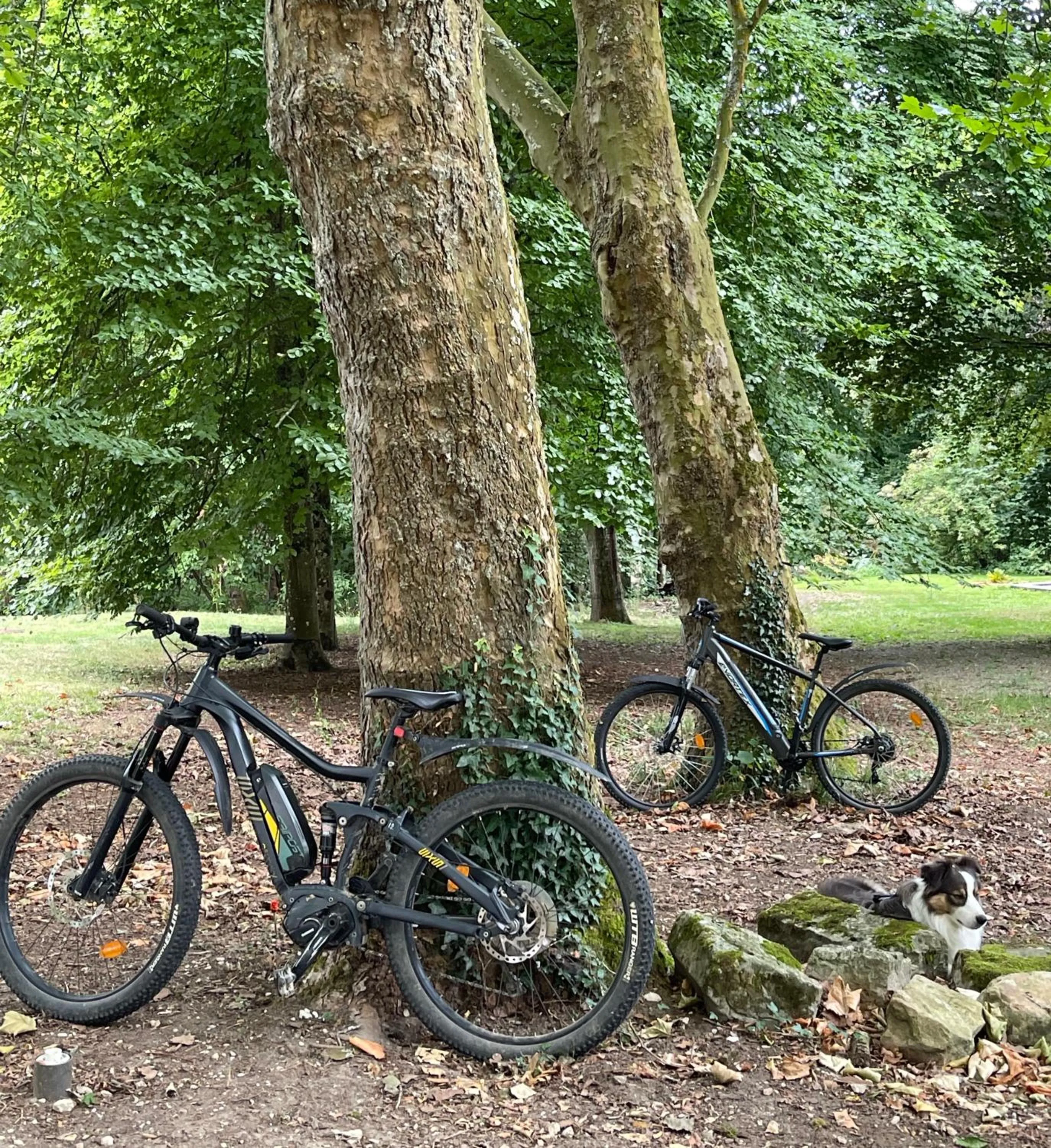 Activities in Domaine de Fresnoy