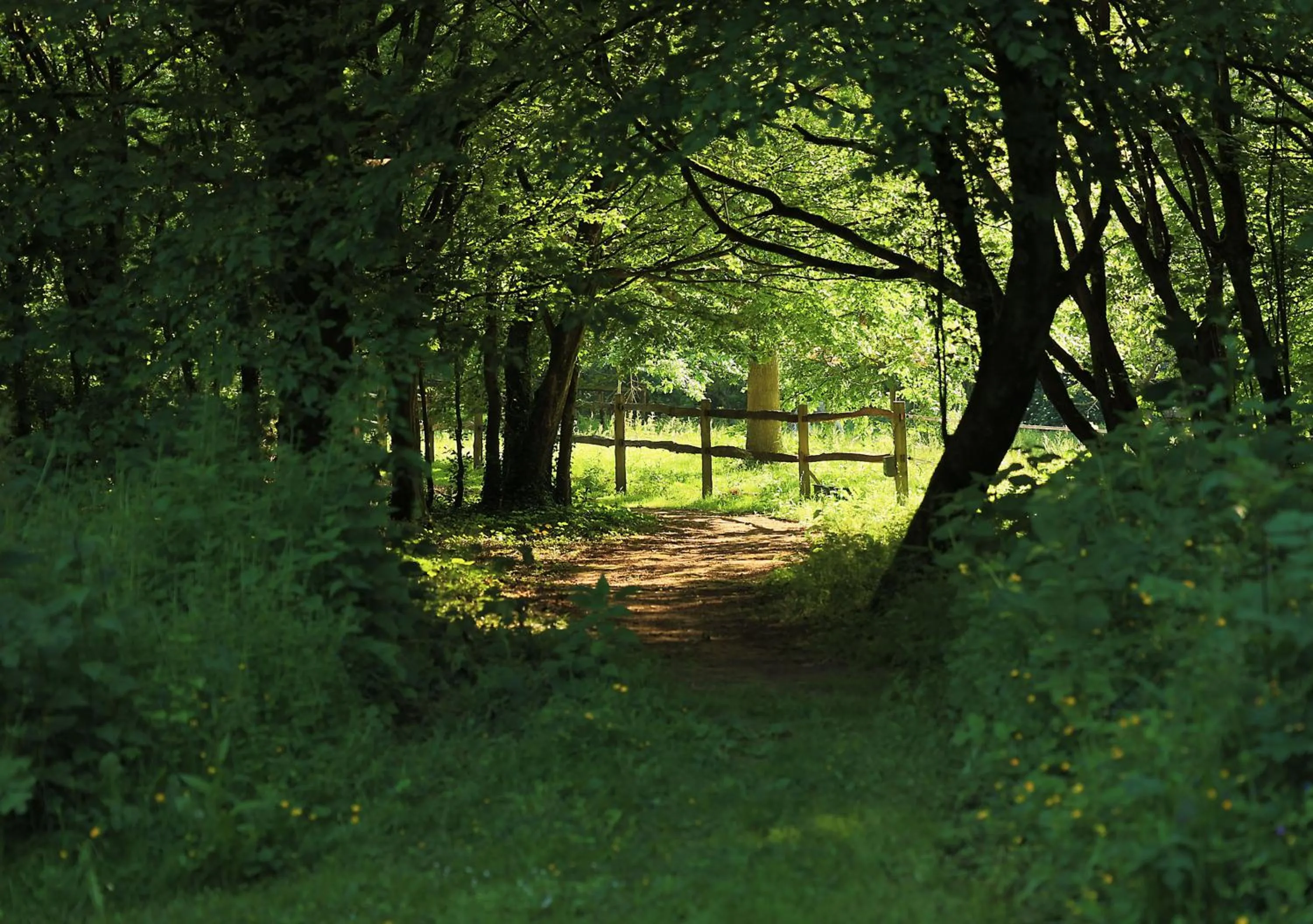 Natural landscape in Domaine de Fresnoy