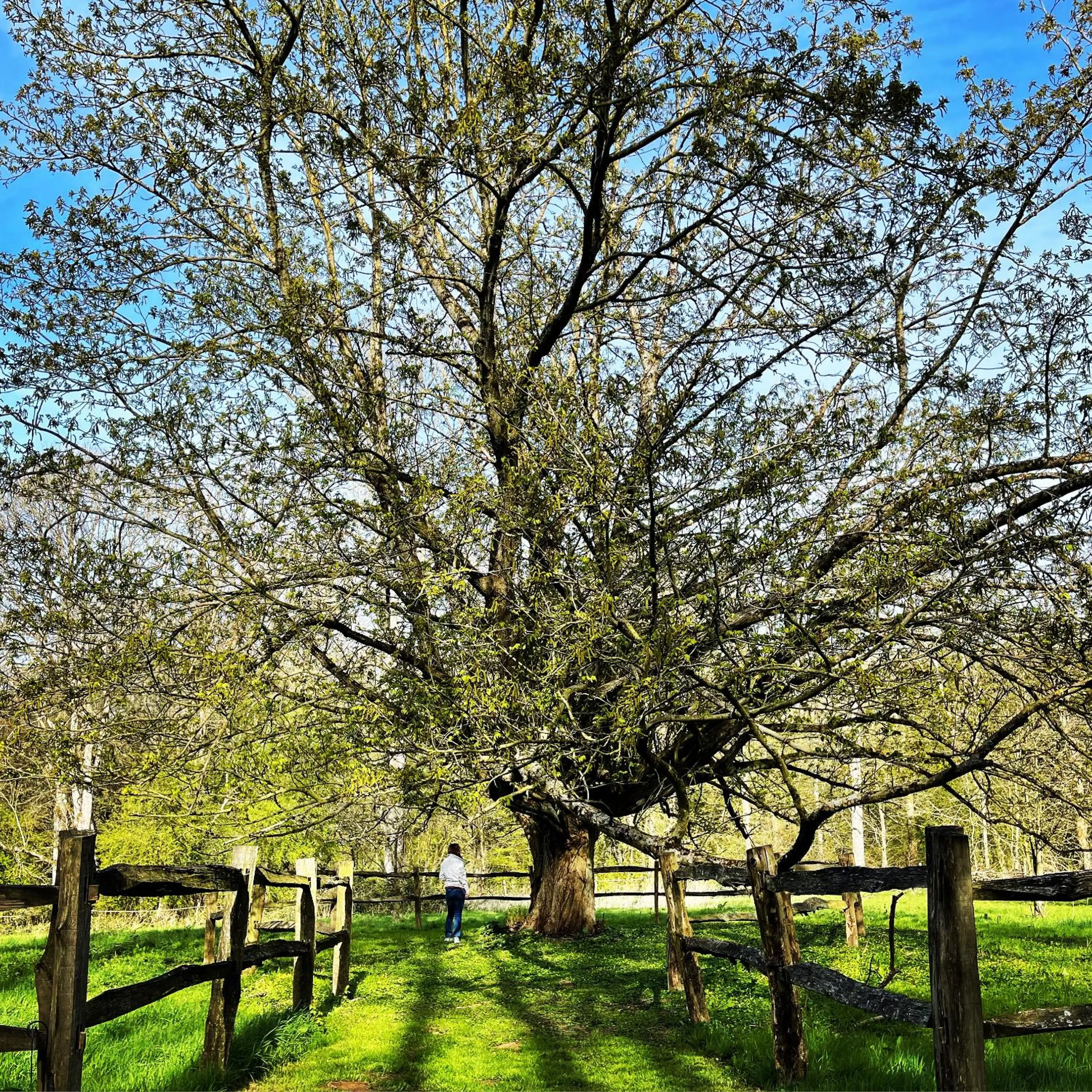 Property building in Domaine de Fresnoy